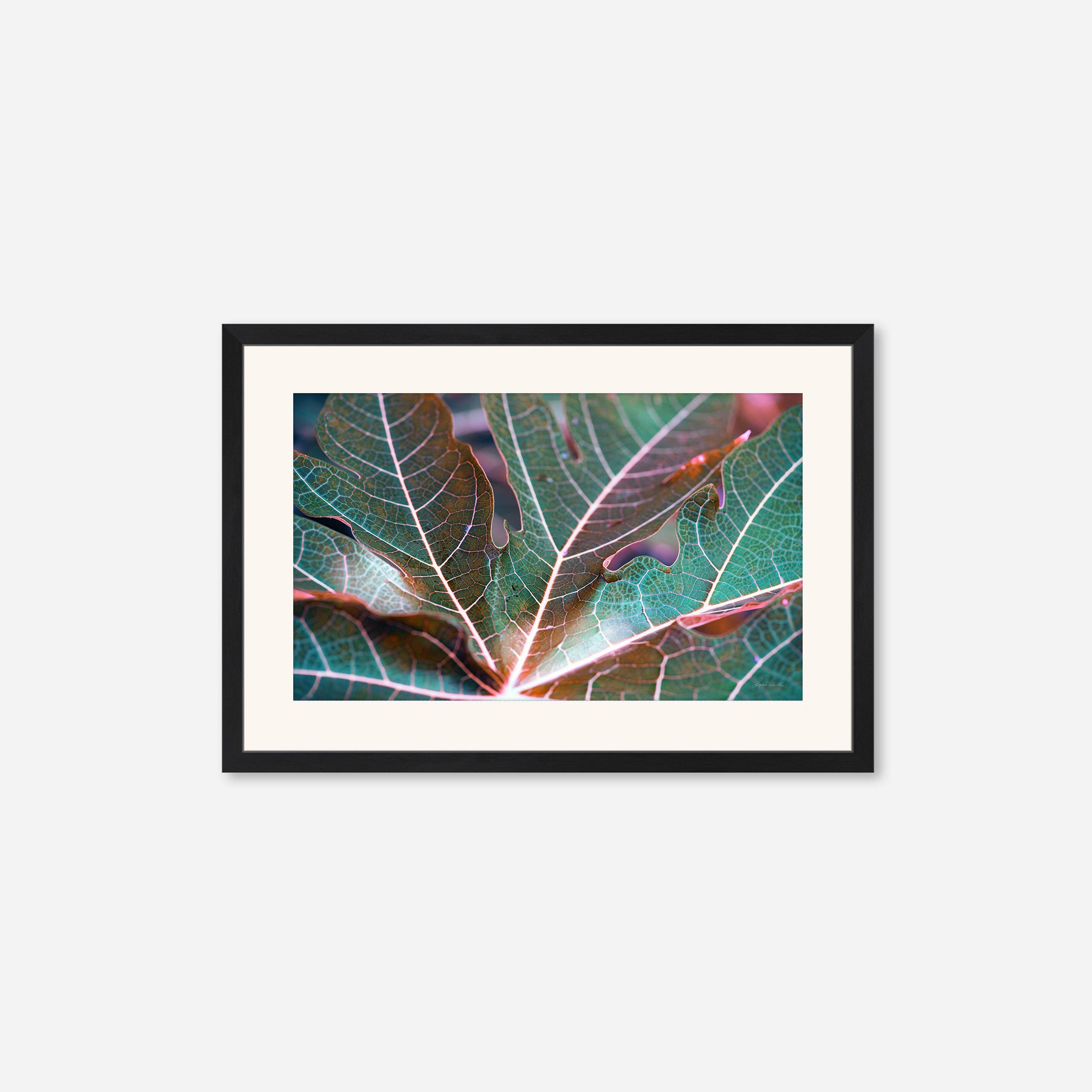 Leaves no. 8