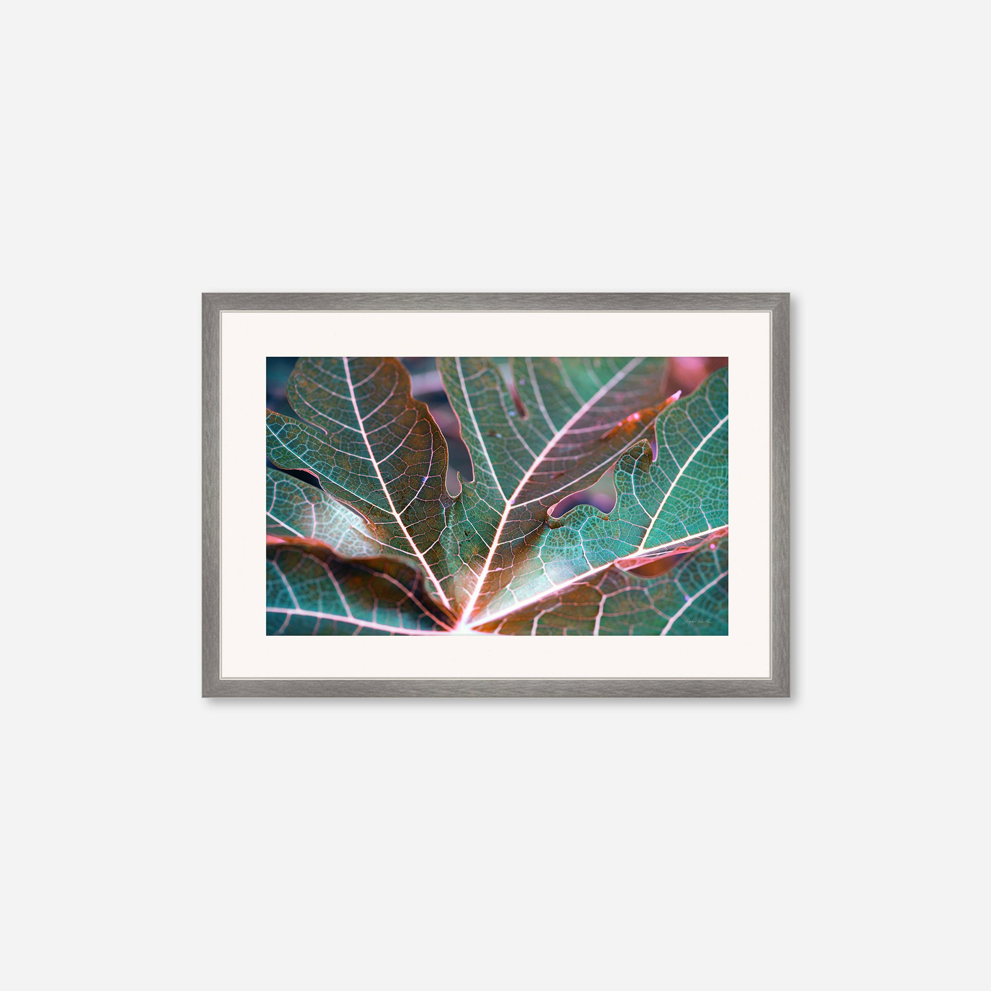 Leaves no. 8
