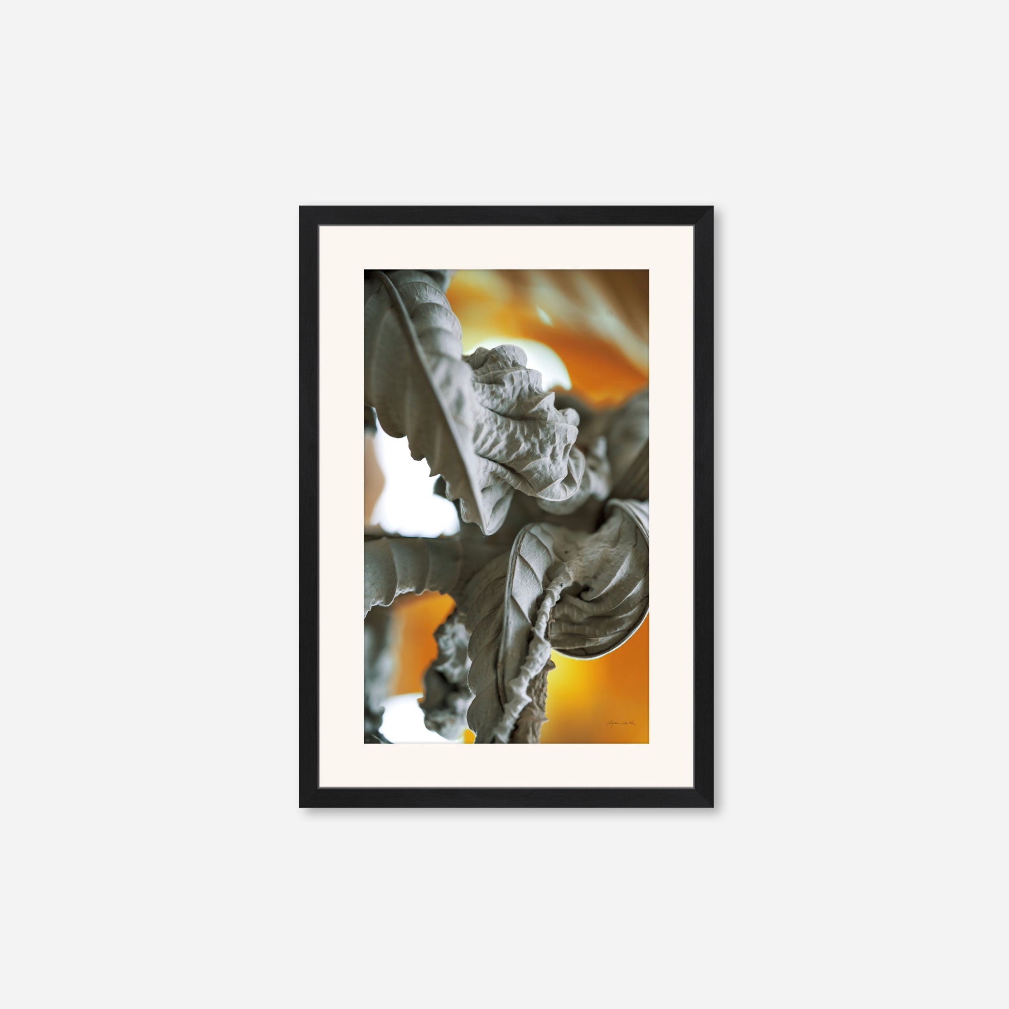 Leaves no. 6