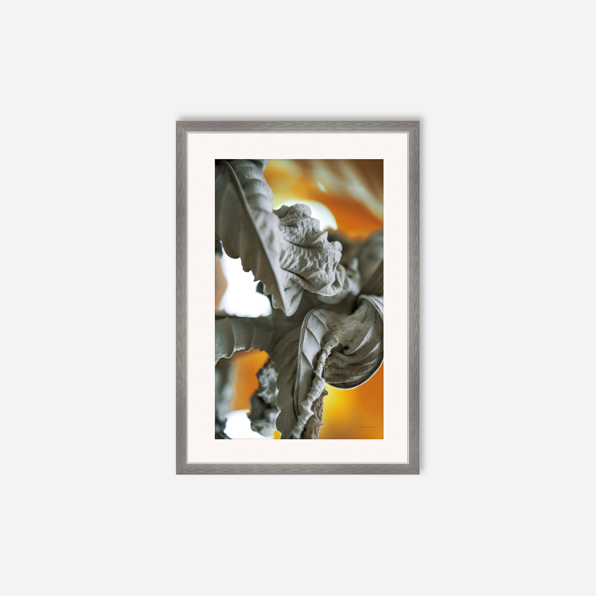 Leaves no. 6