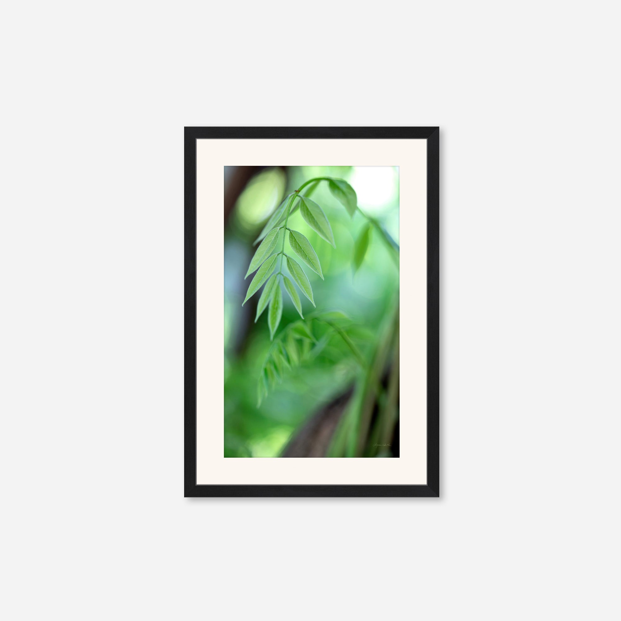 Leaves no. 2