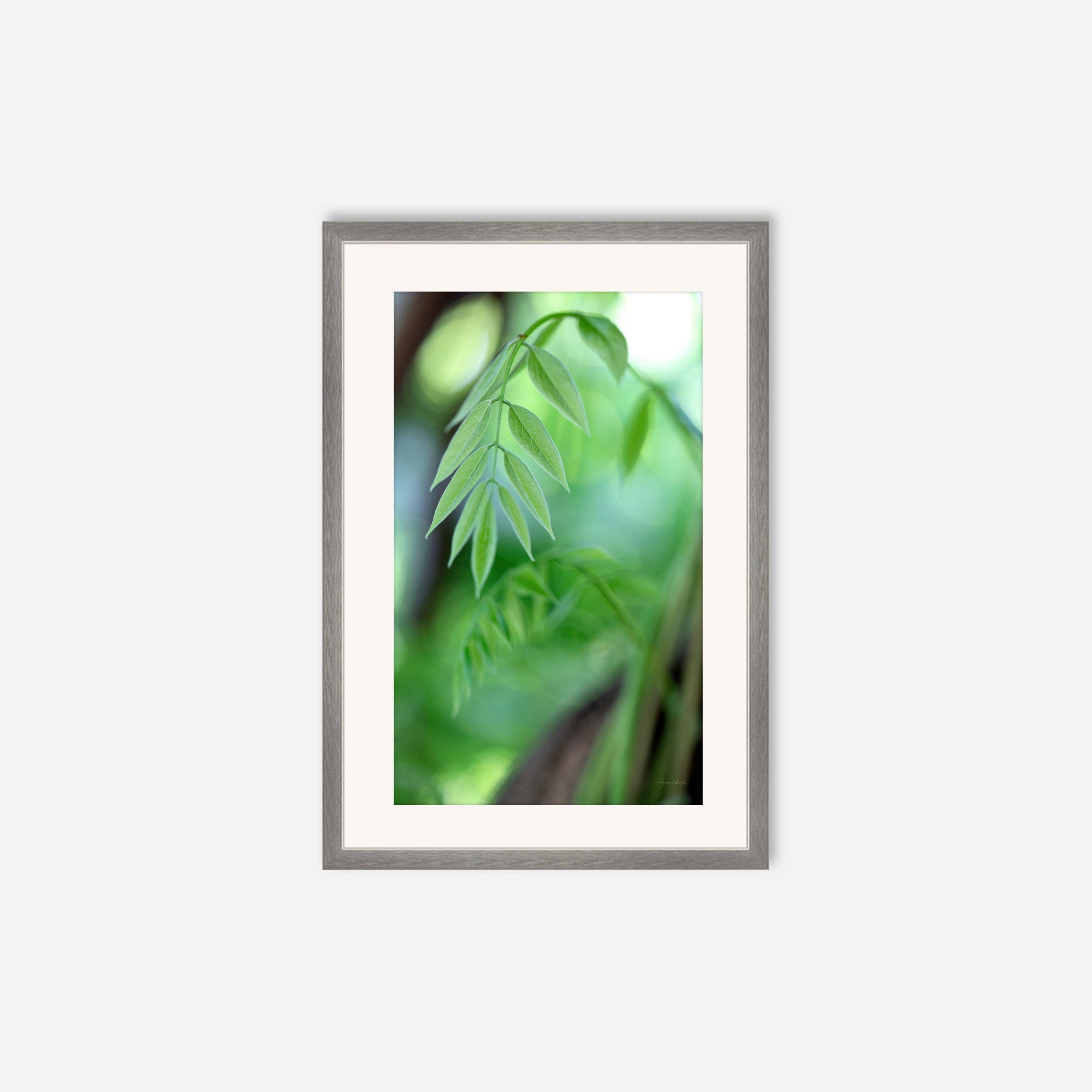 Leaves no. 2