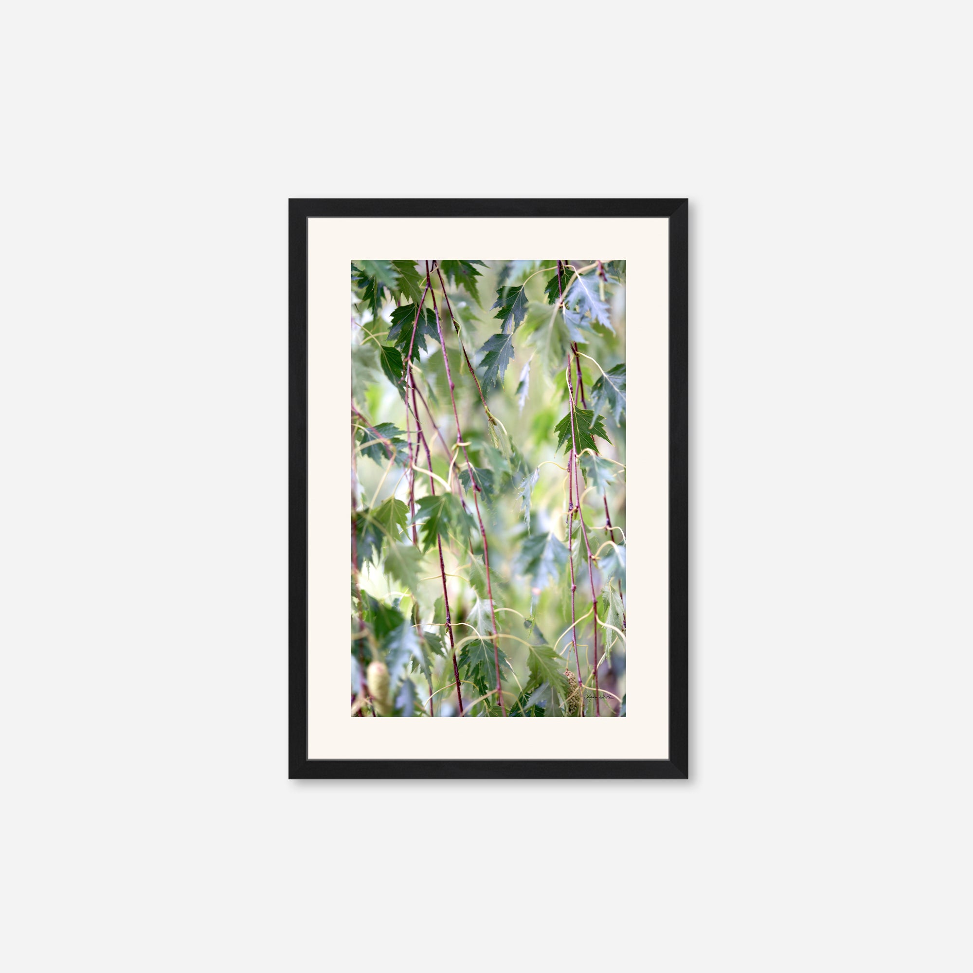 Leaves no. 1