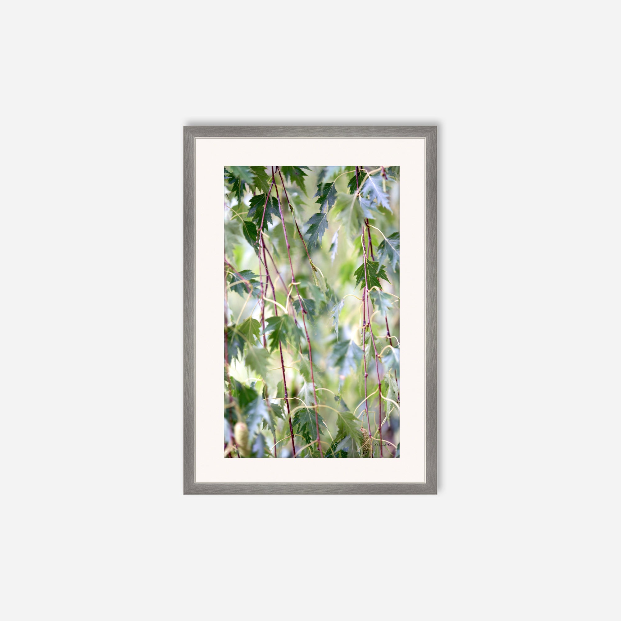 Leaves no. 1