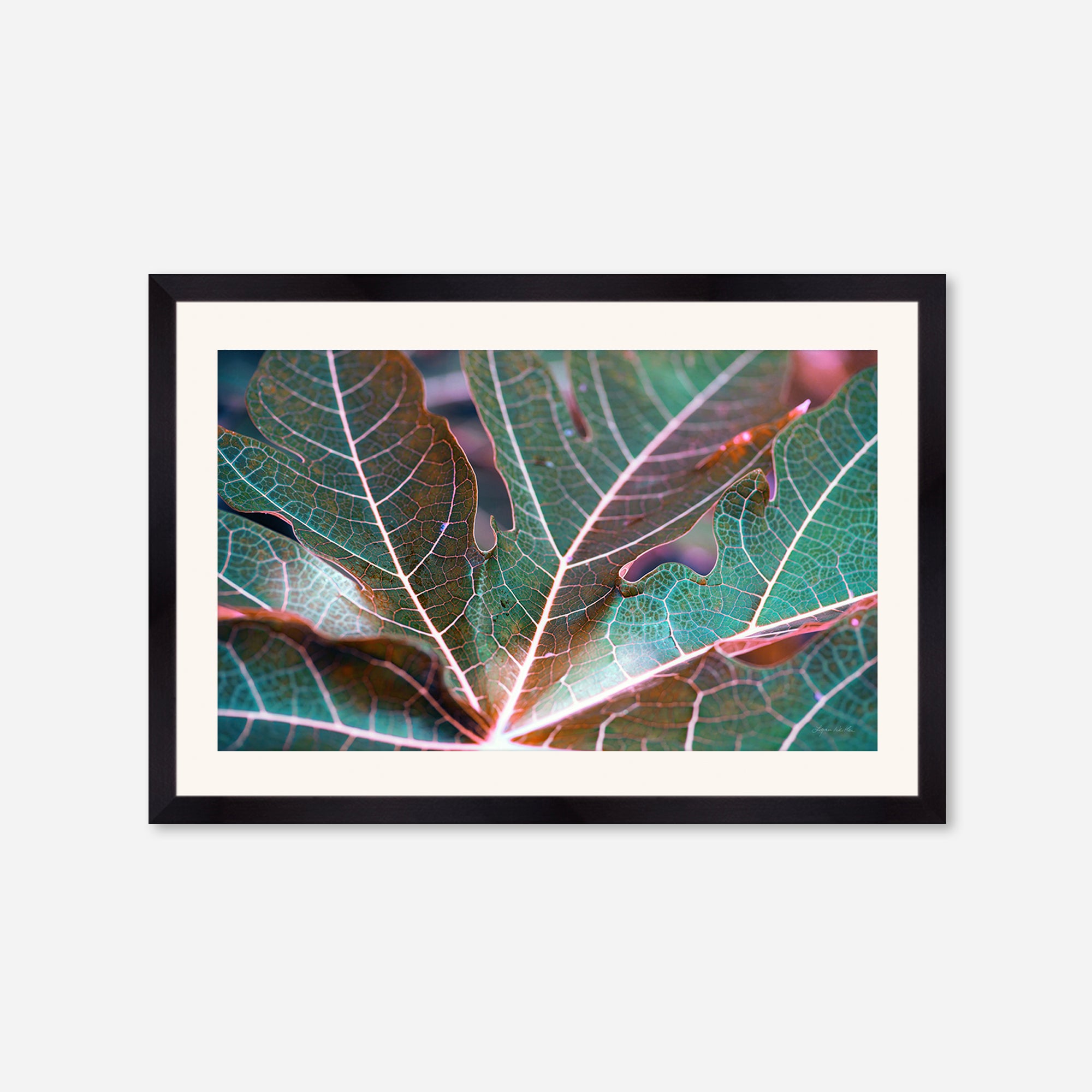 Leaves no. 8