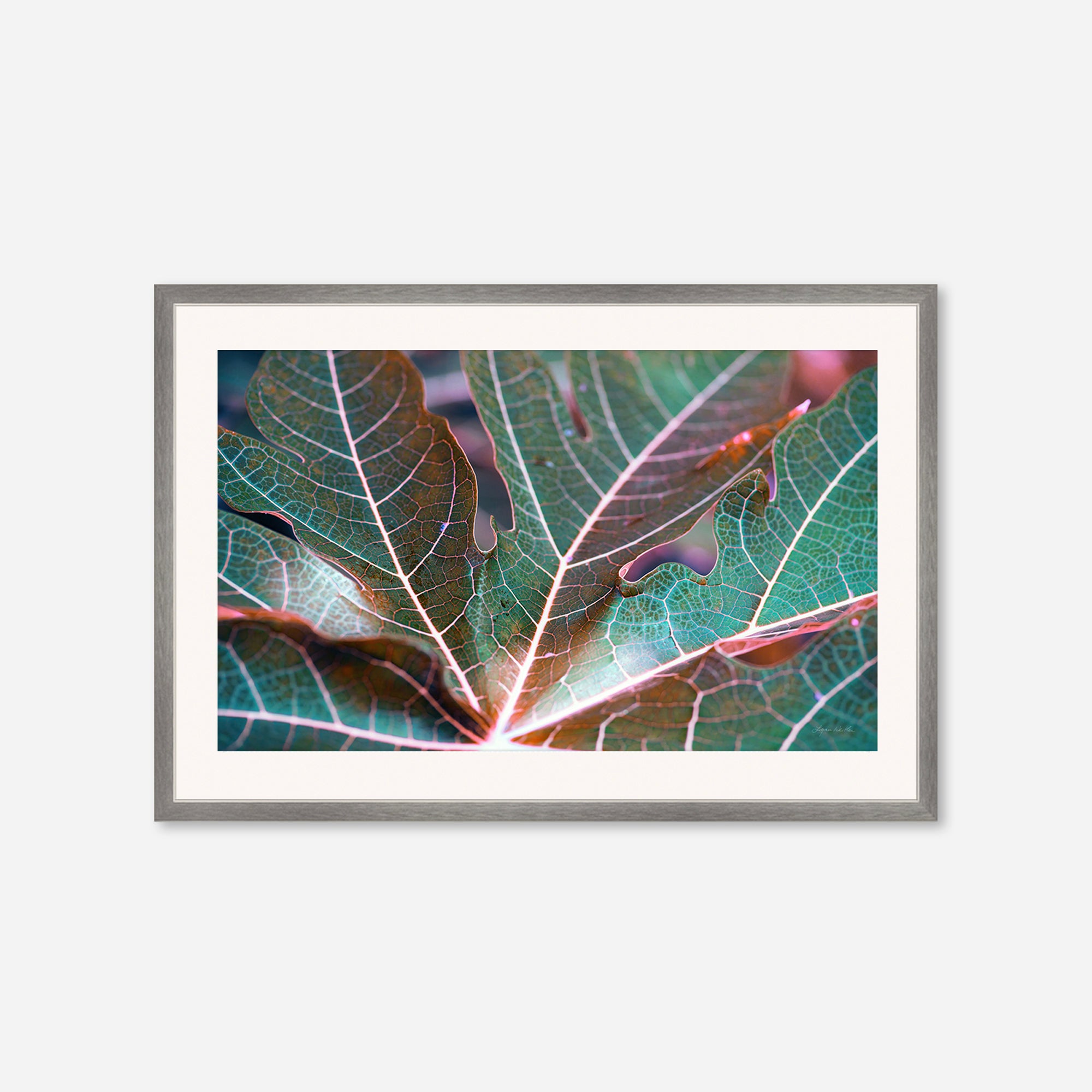 Leaves no. 8