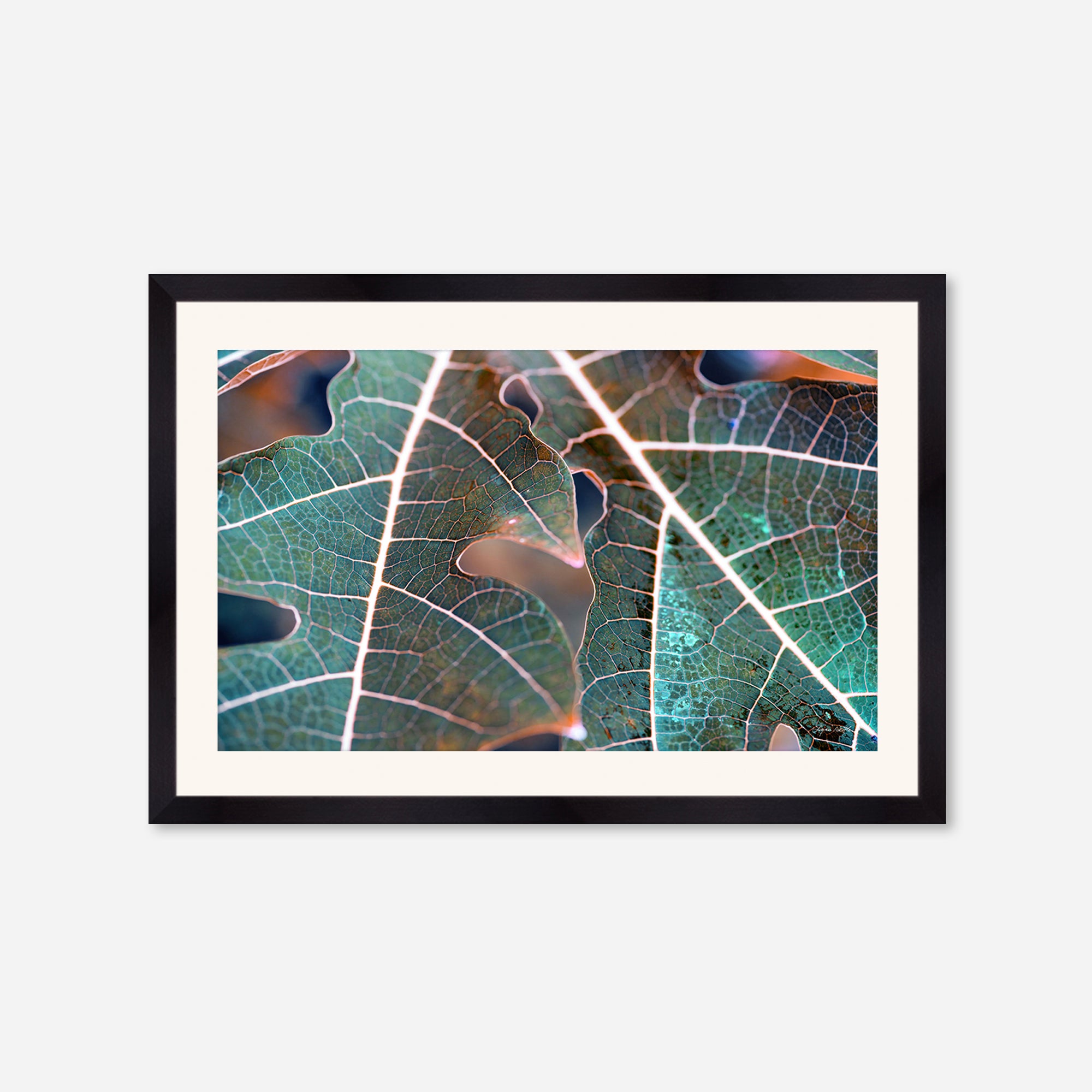 Leaves no. 7