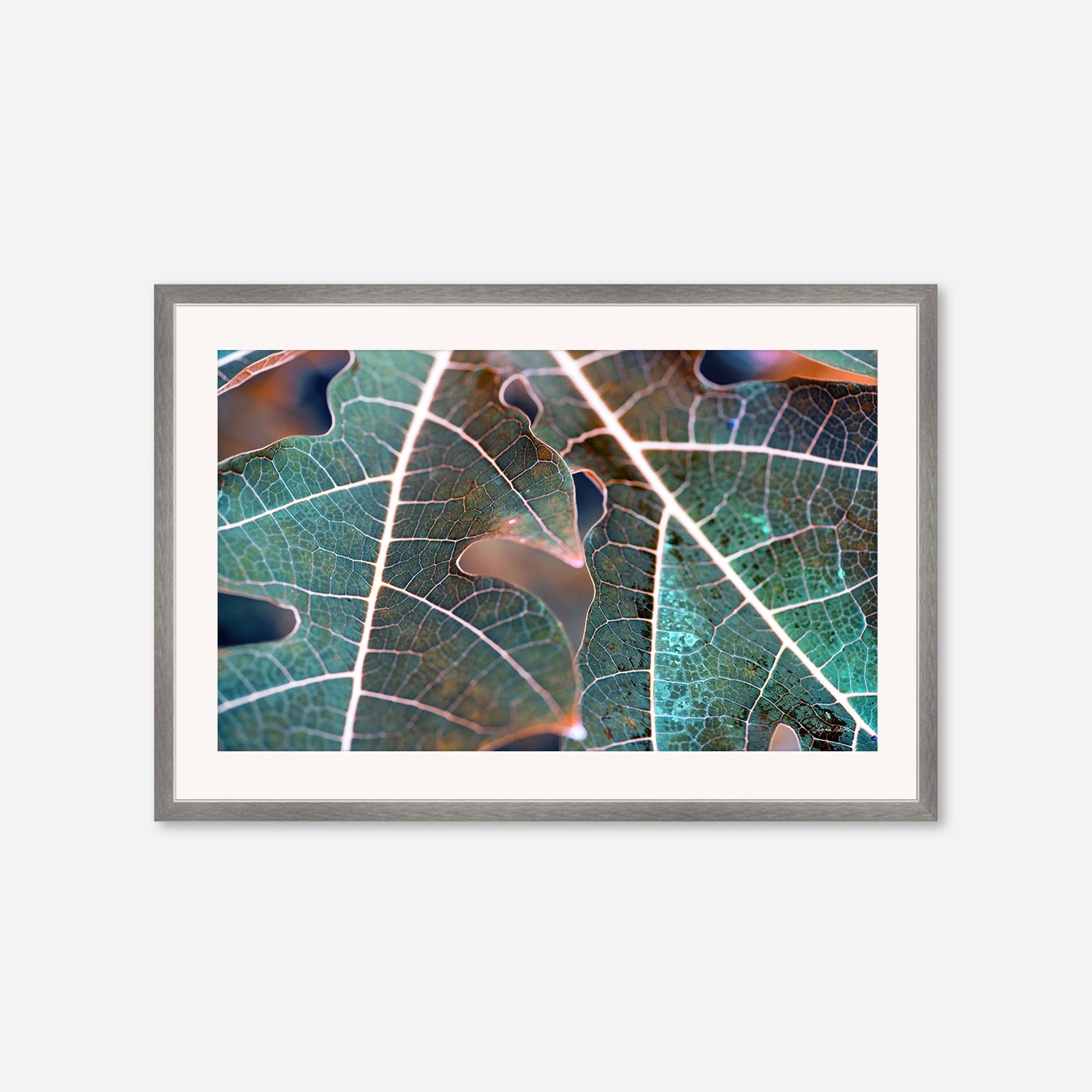 Leaves no. 7