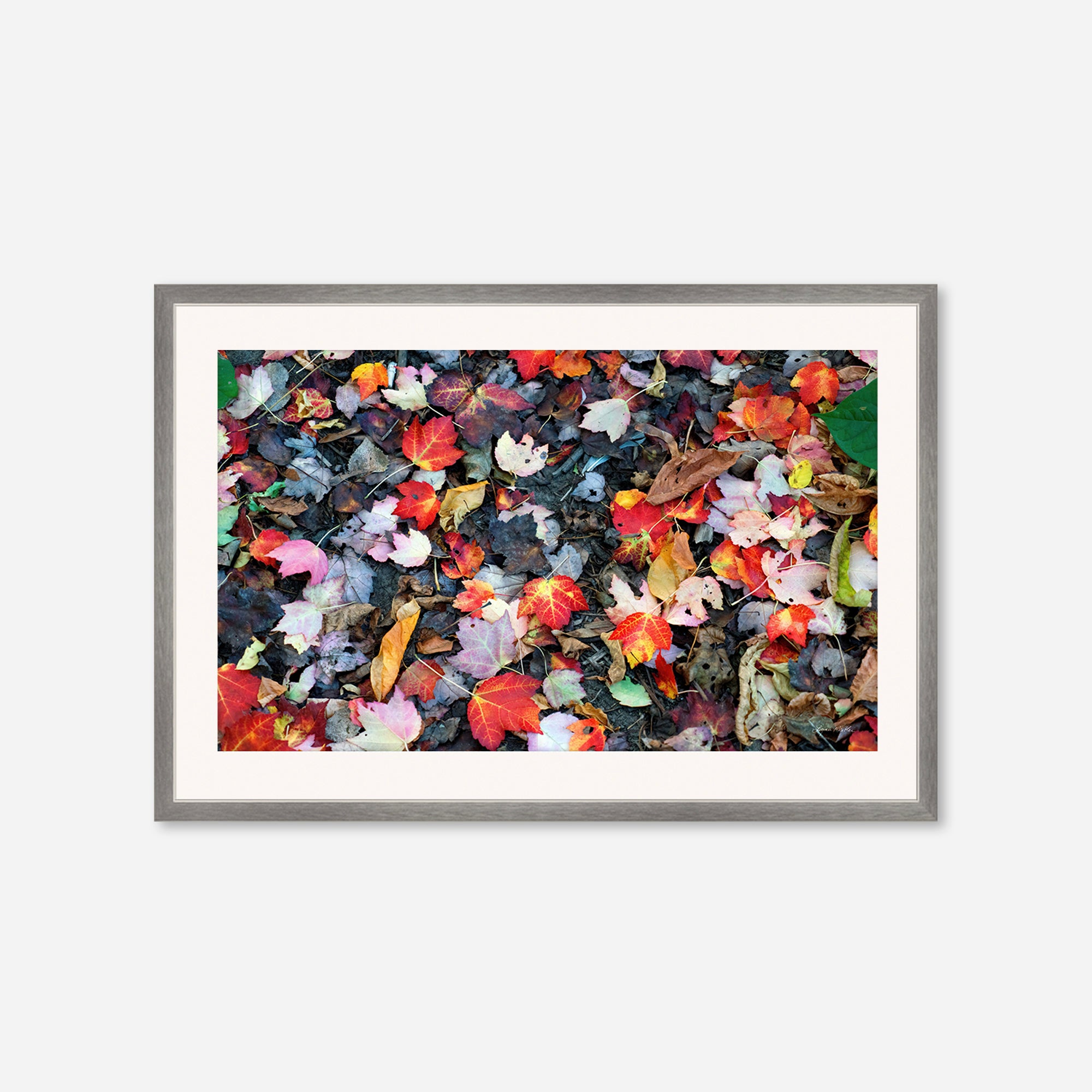 Leaves no. 4