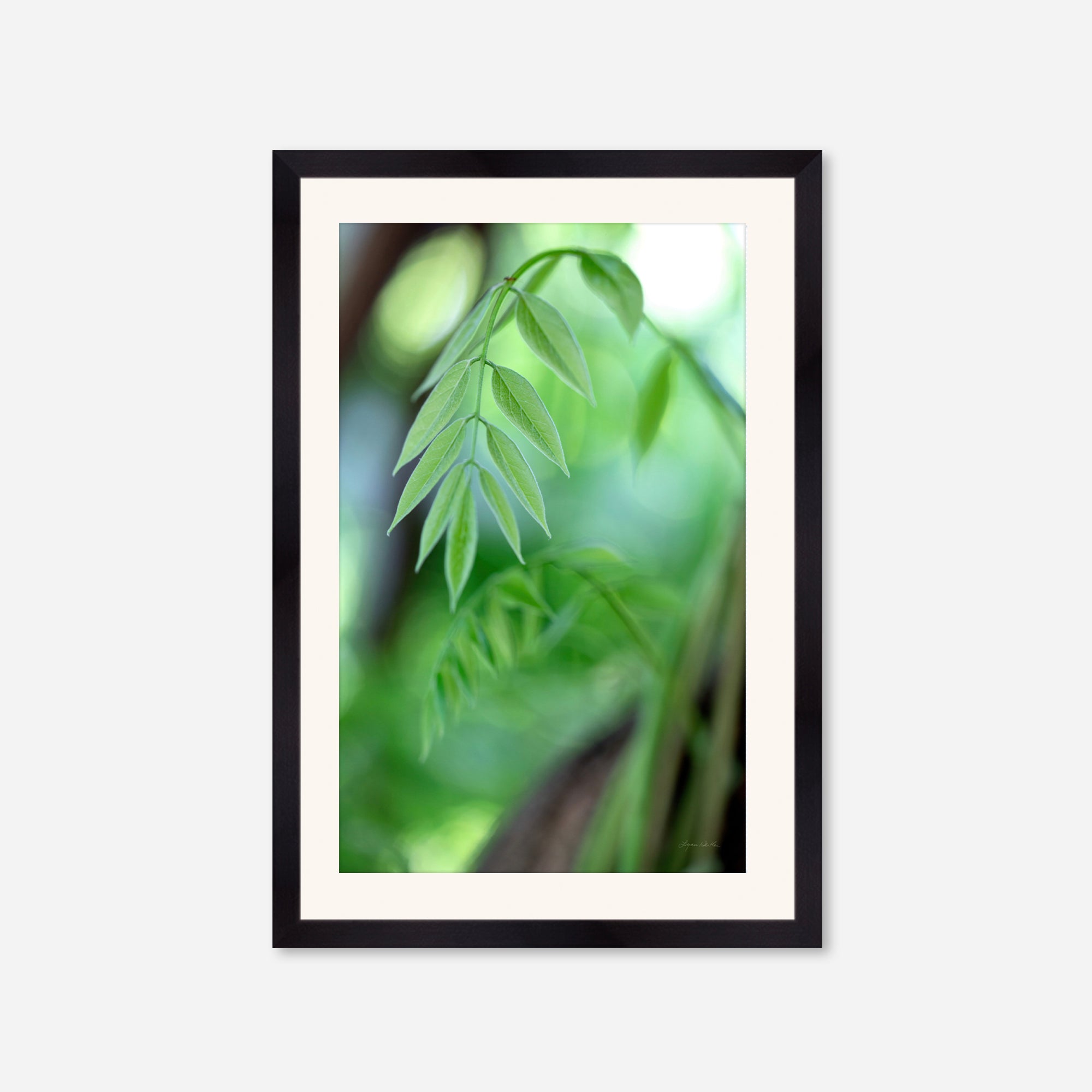 Leaves no. 2