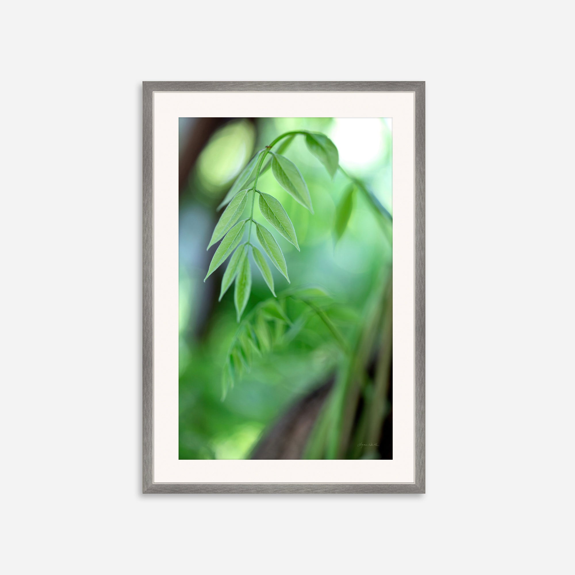Leaves no. 2
