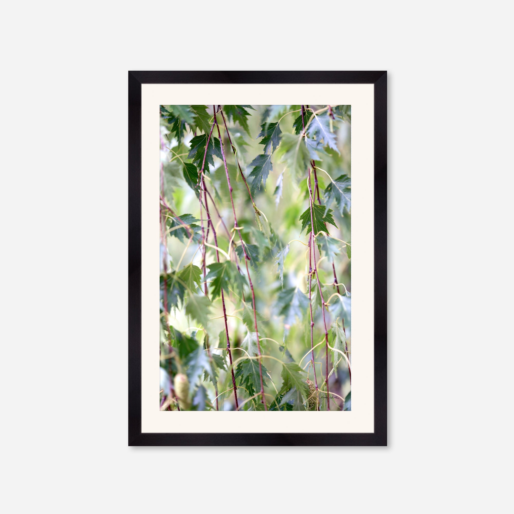 Leaves no. 1