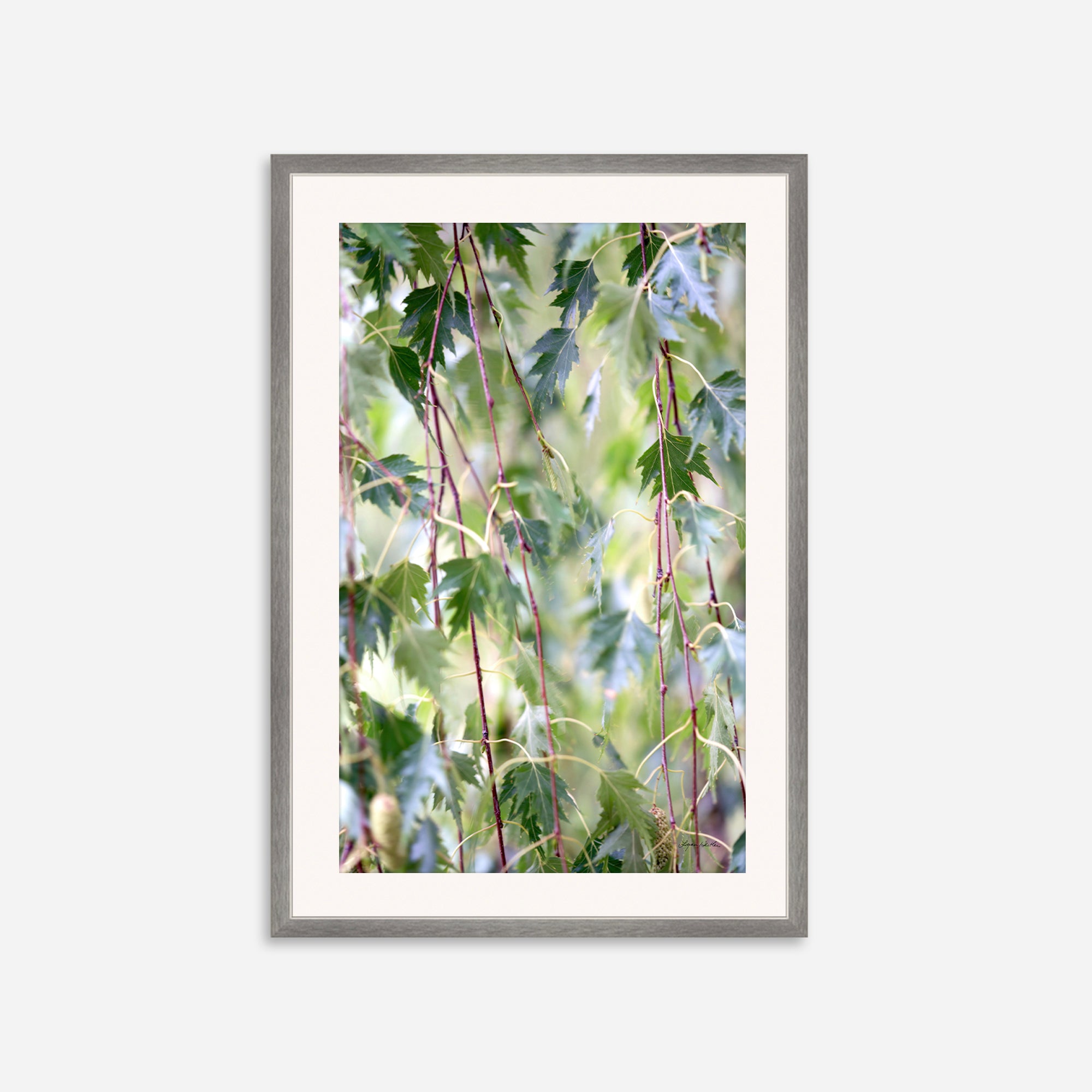 Leaves no. 1