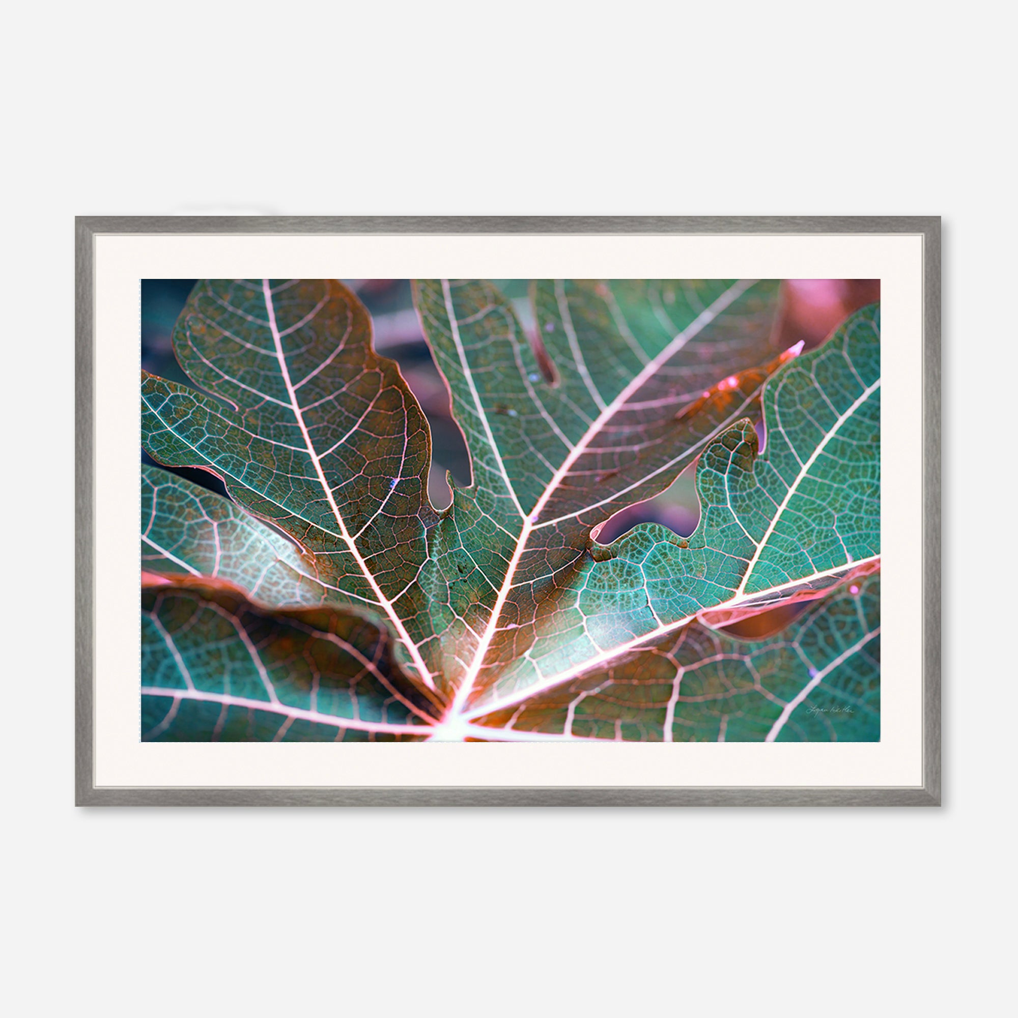 Leaves no. 8