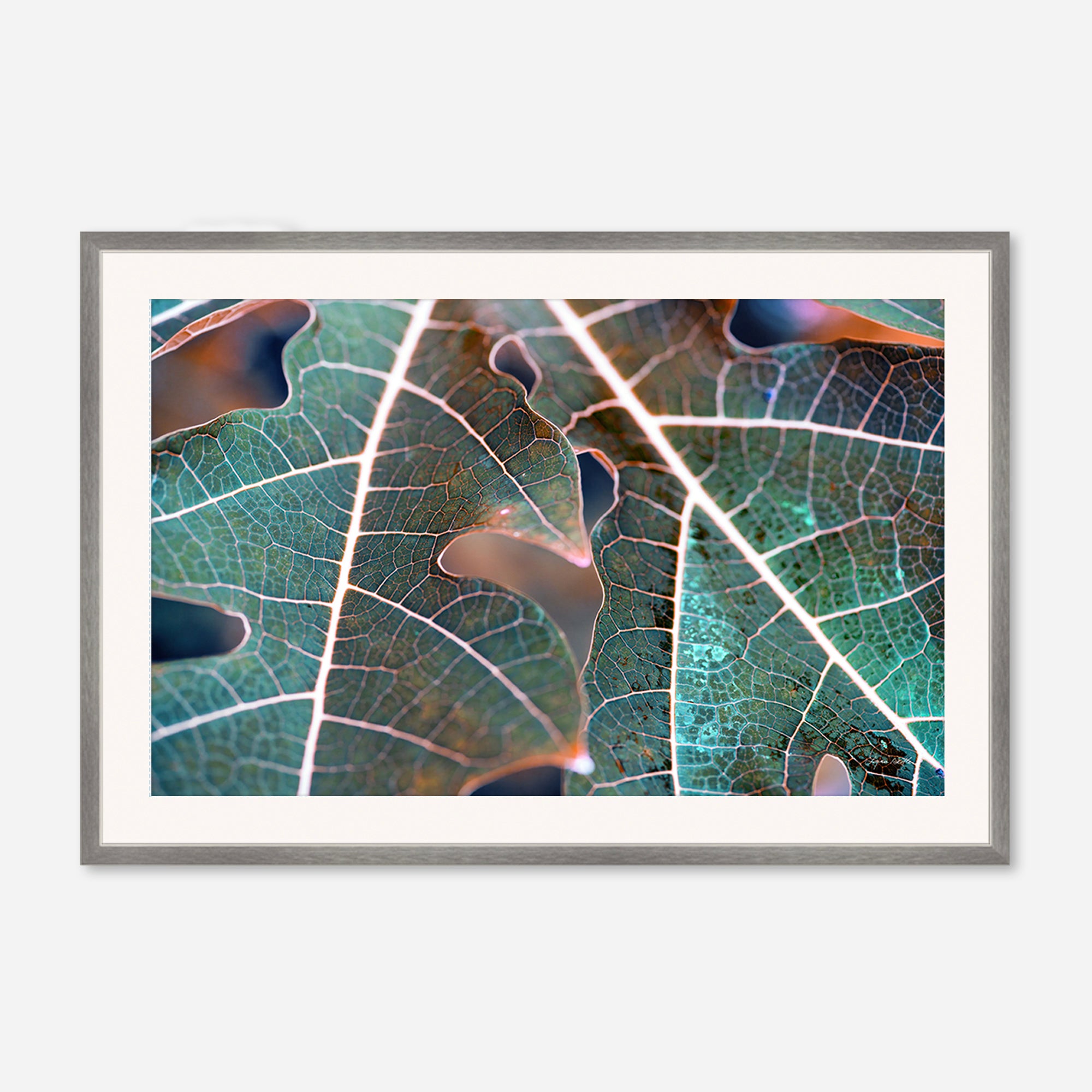 Leaves no. 7