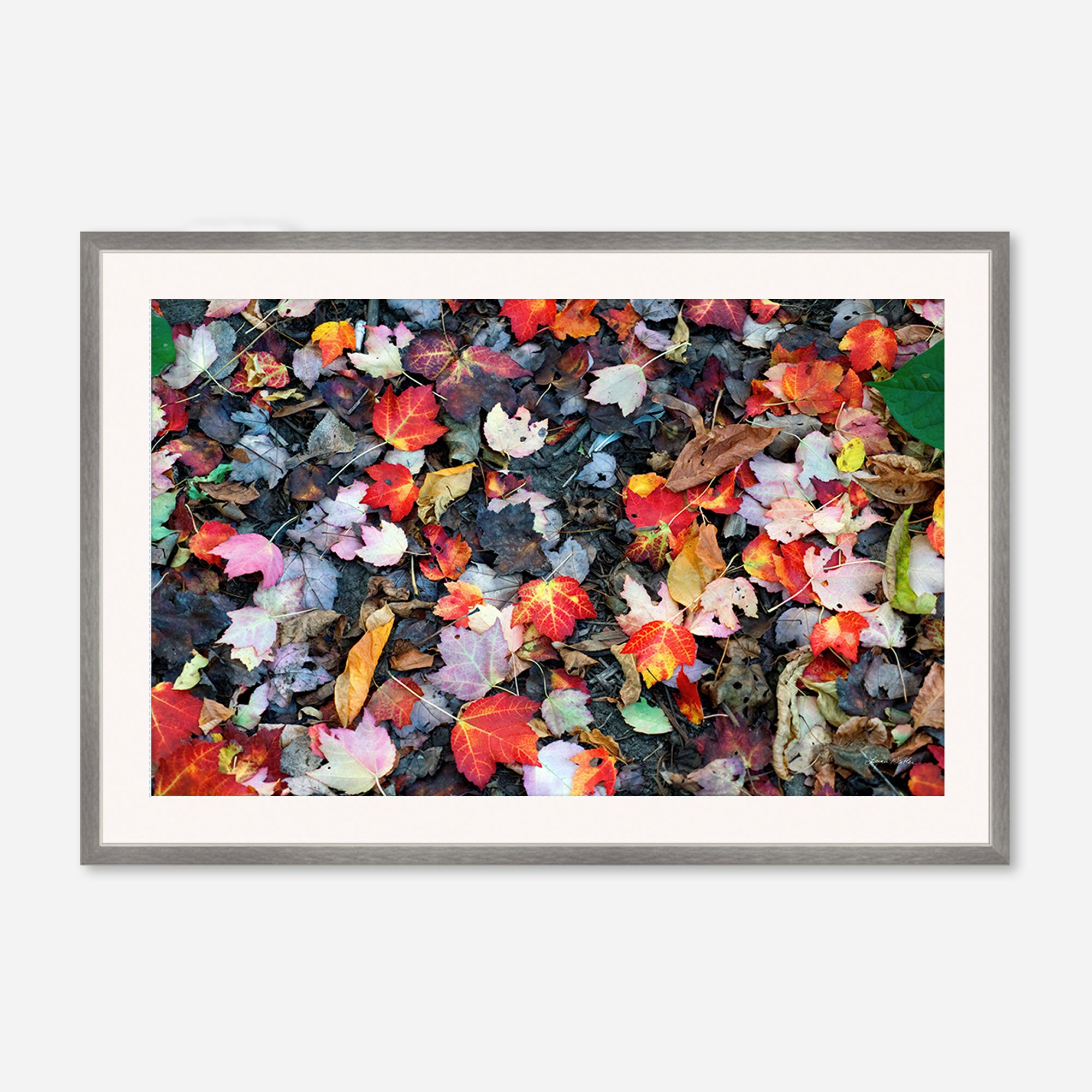Leaves no. 4