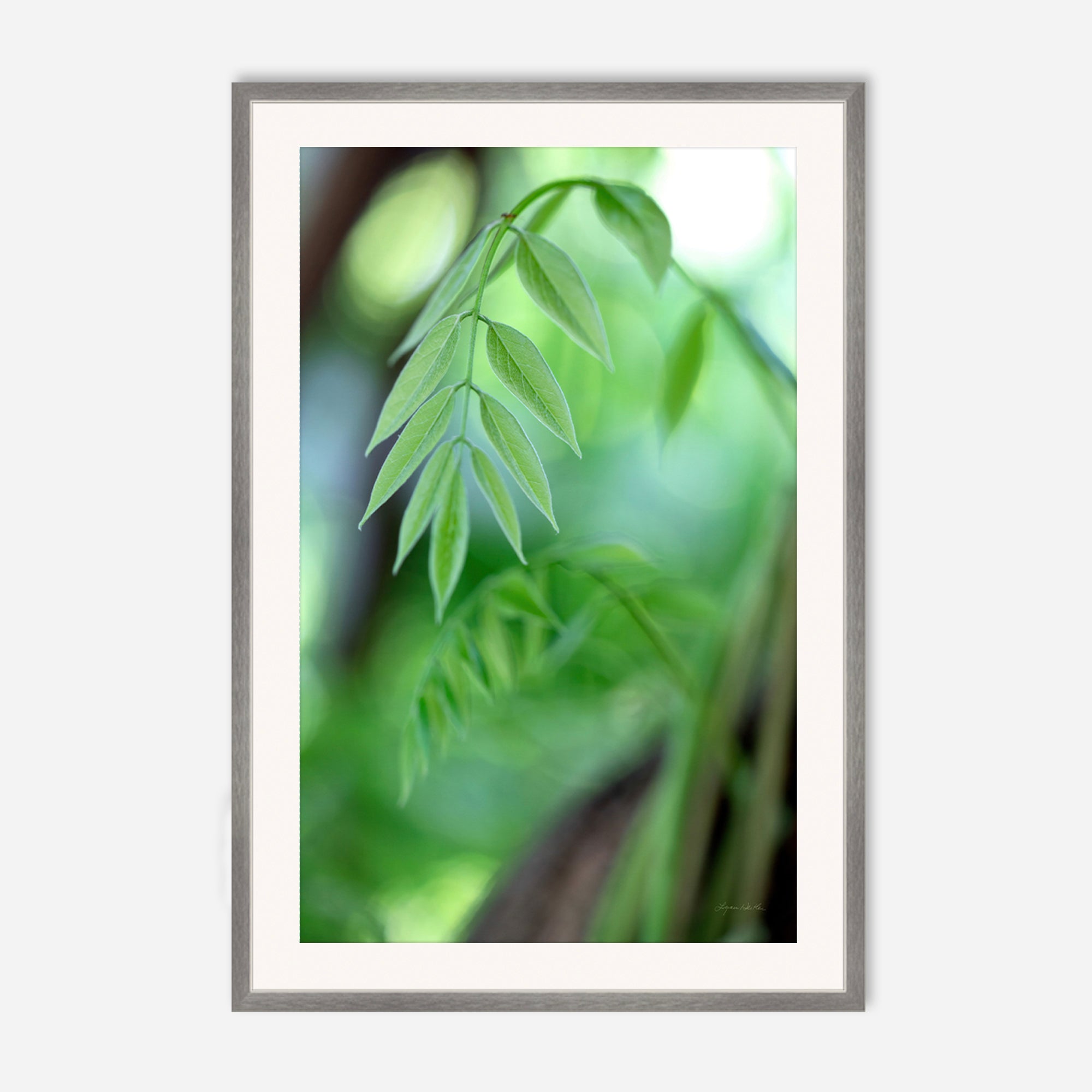 Leaves no. 2