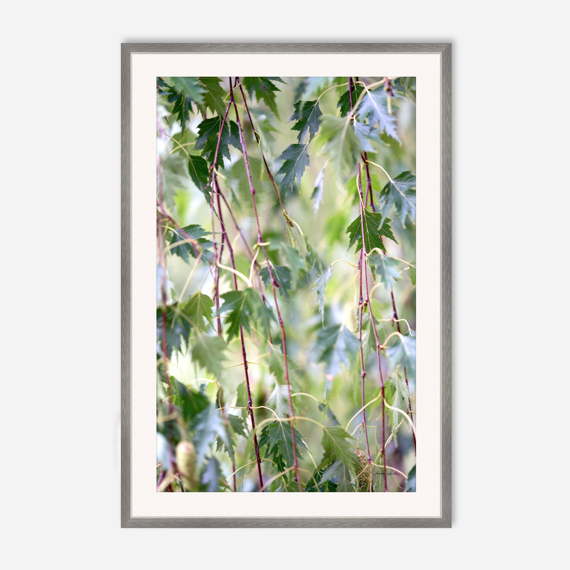 Leaves no. 1