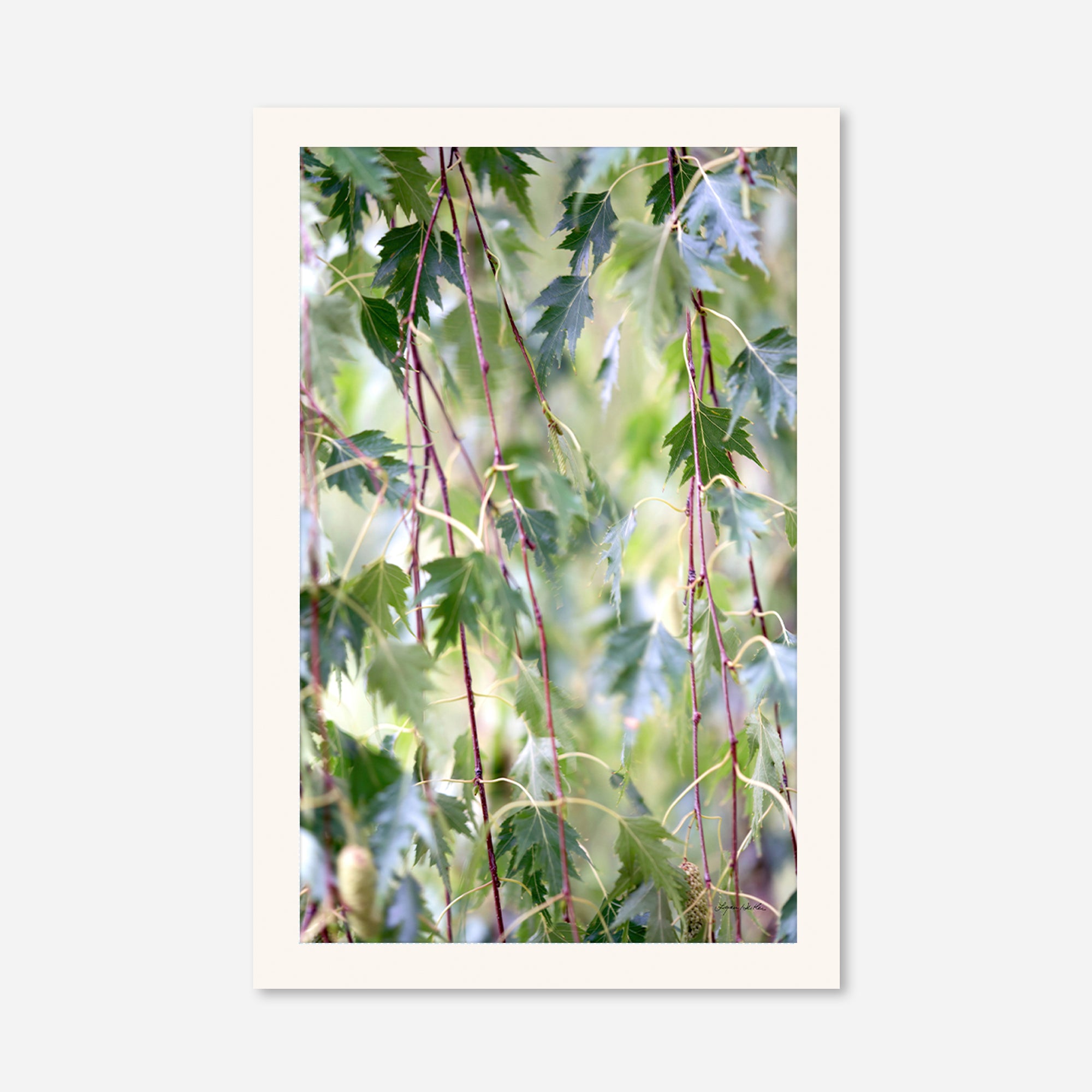 Leaves no. 1