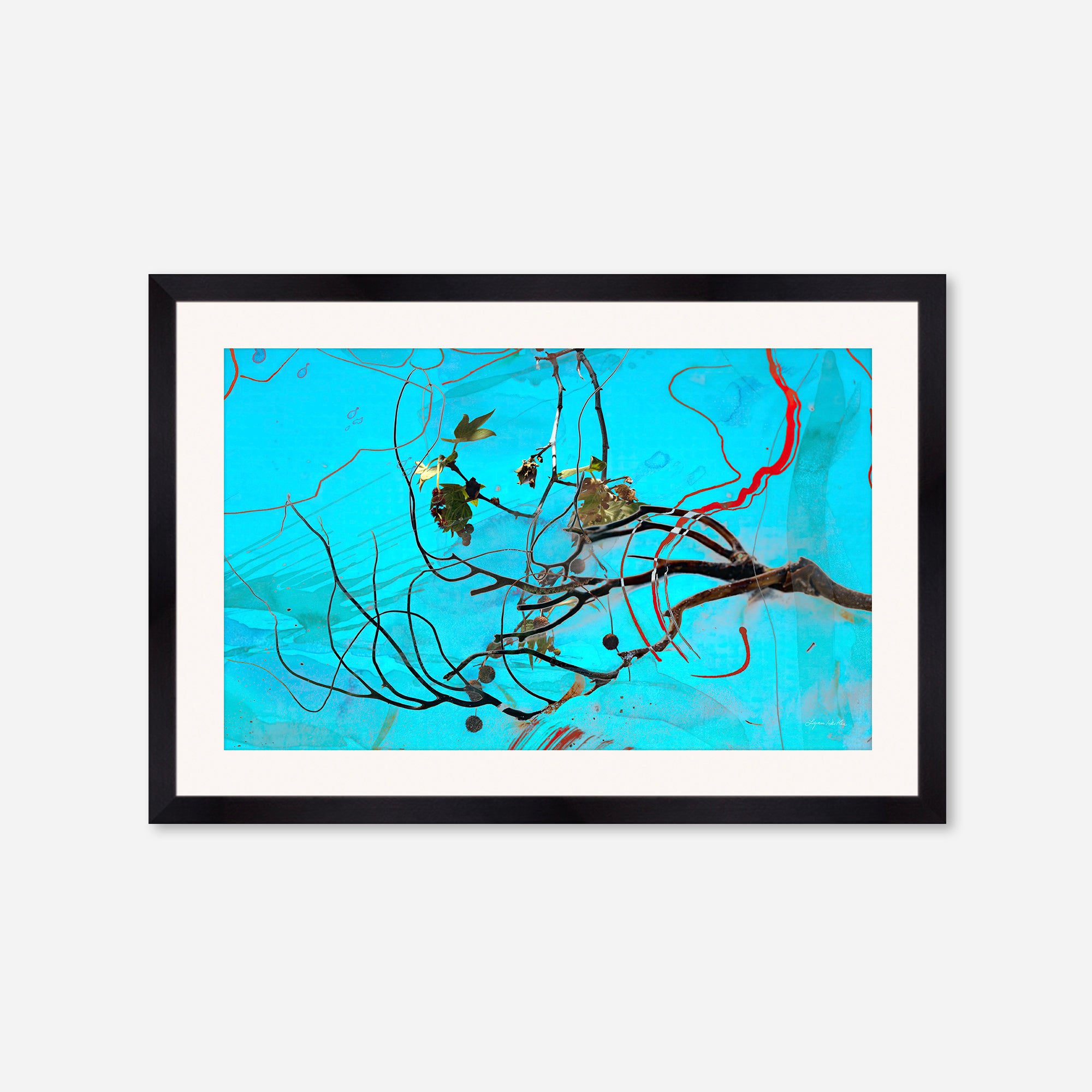 Lineup no.2