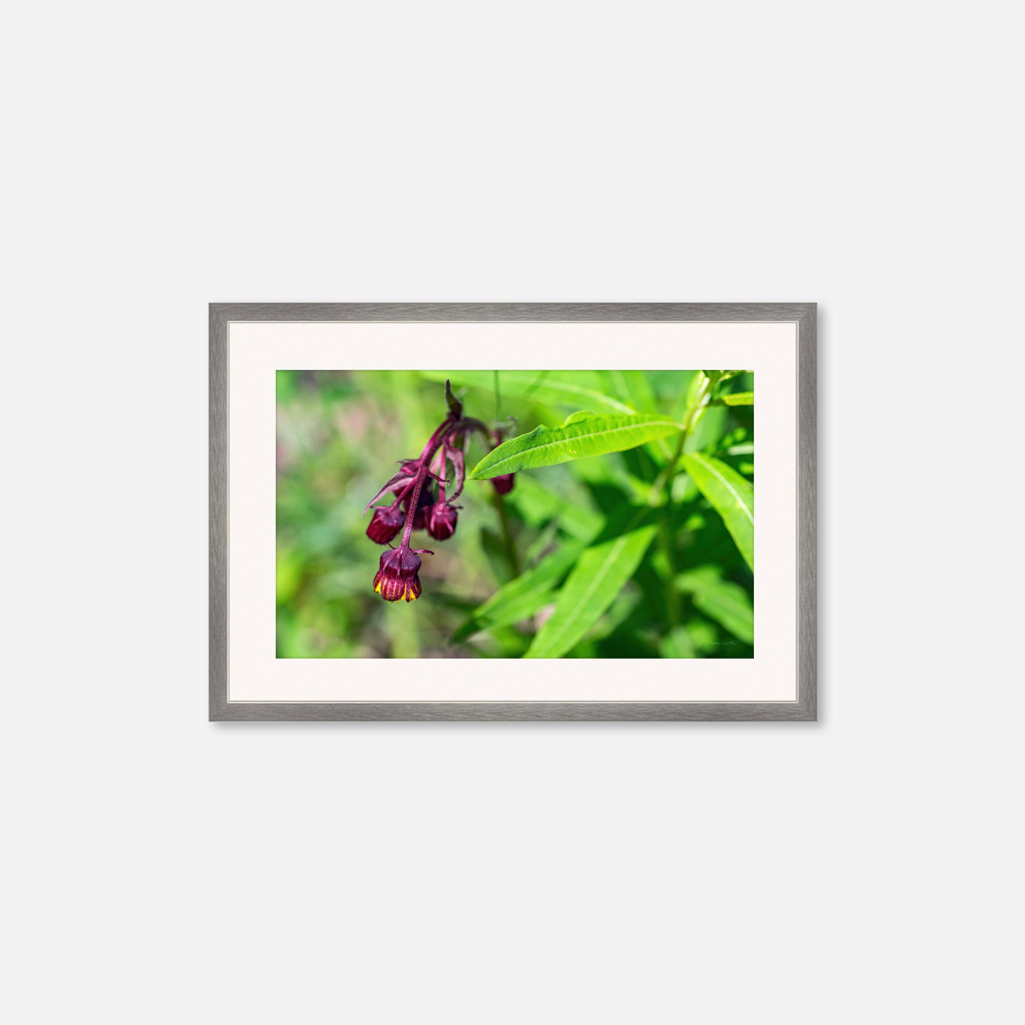 Macro no. 17