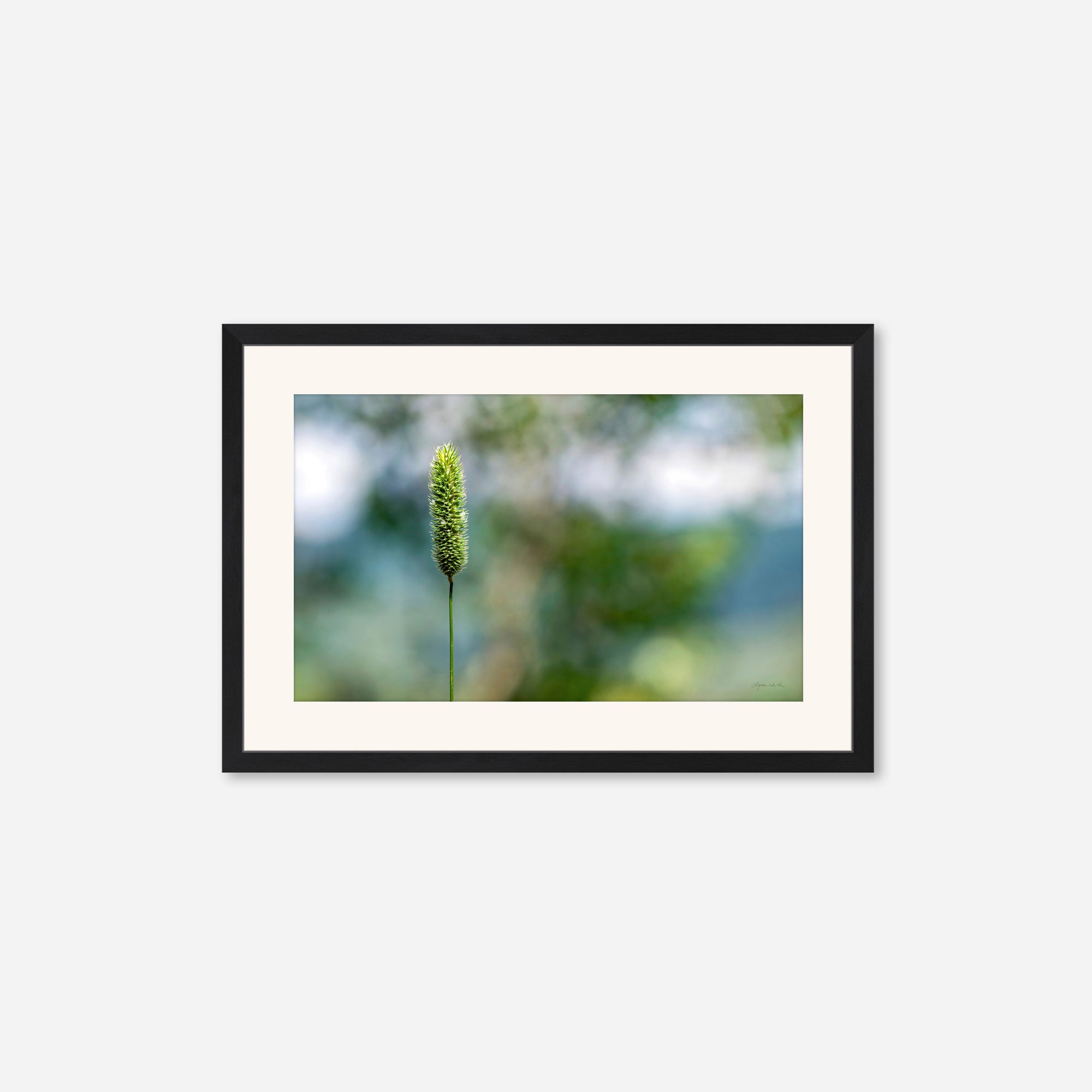 Macro no. 16