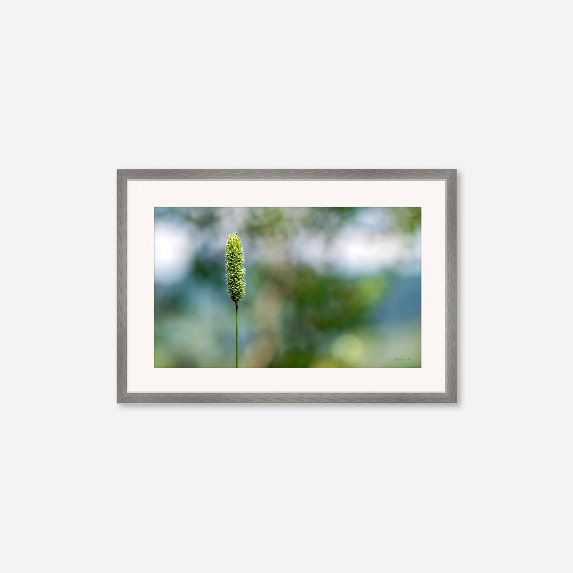 Macro no. 16