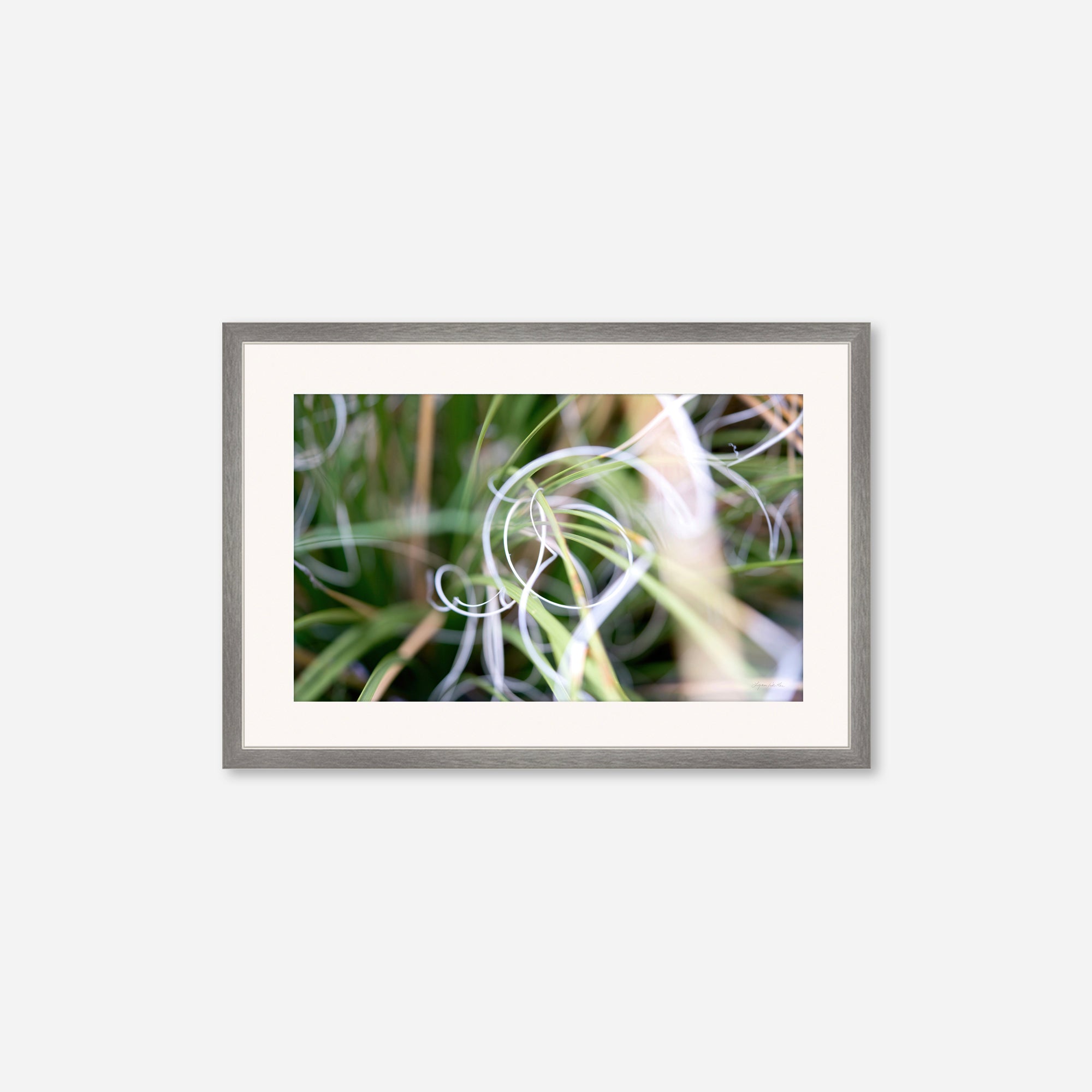 Macro no. 15