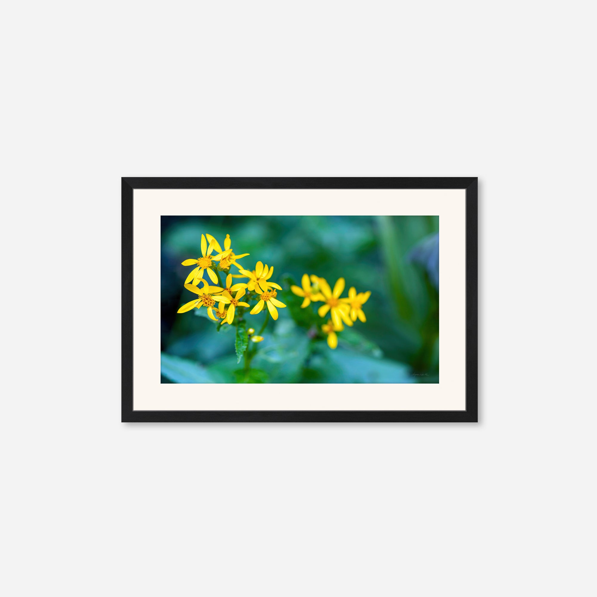 Macro no. 14