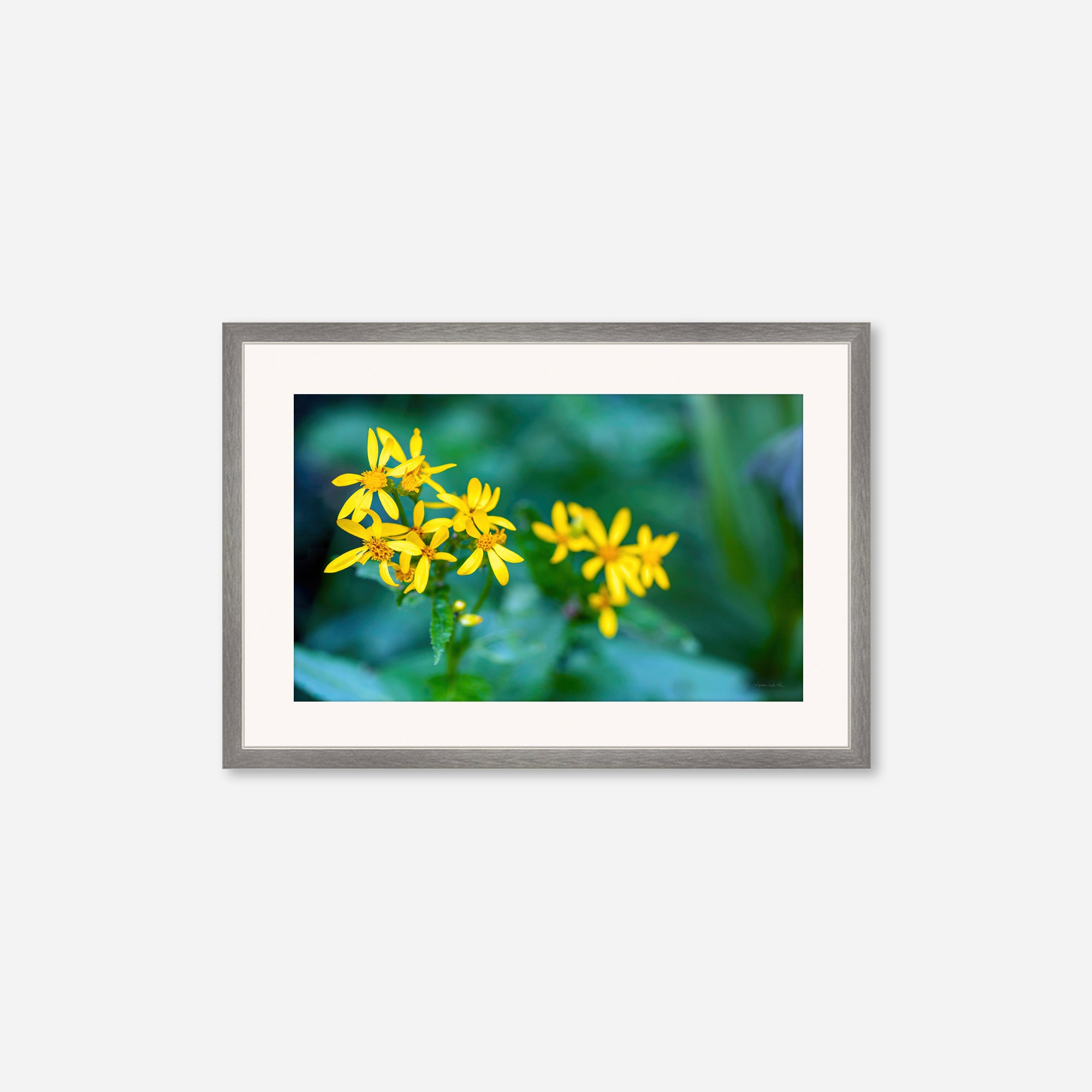 Macro no. 14