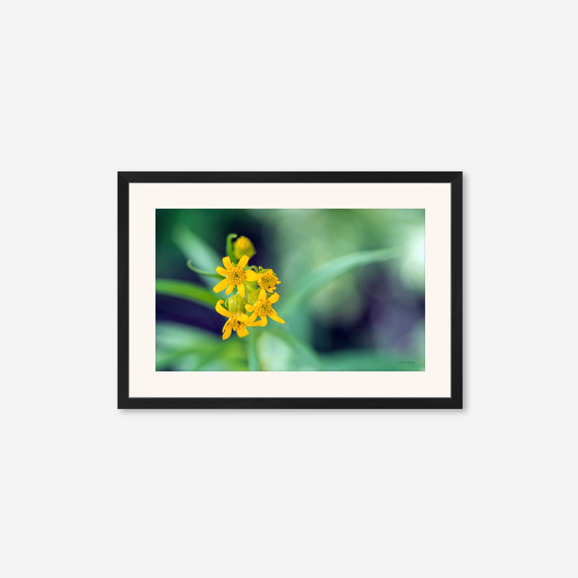 Macro no. 13