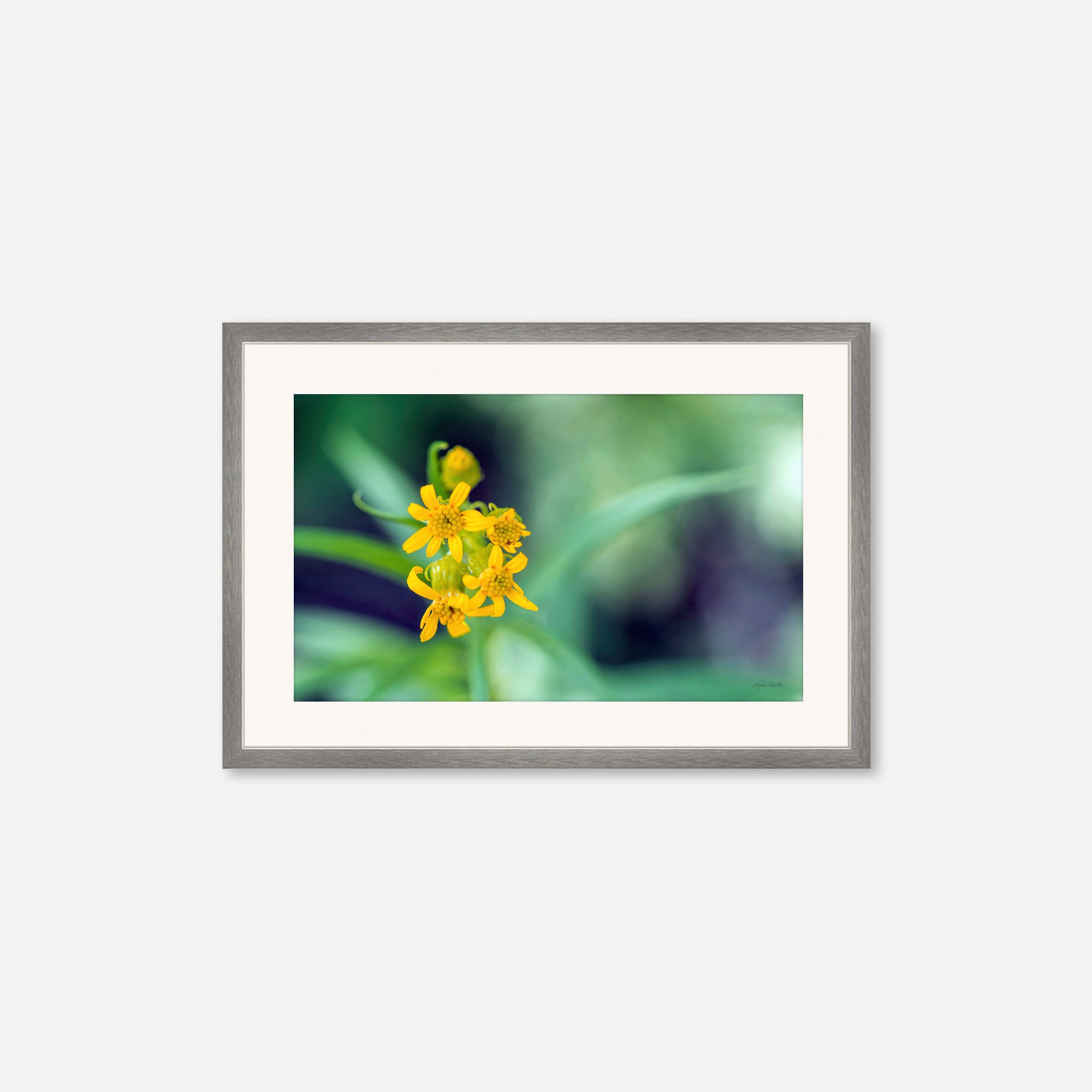 Macro no. 13