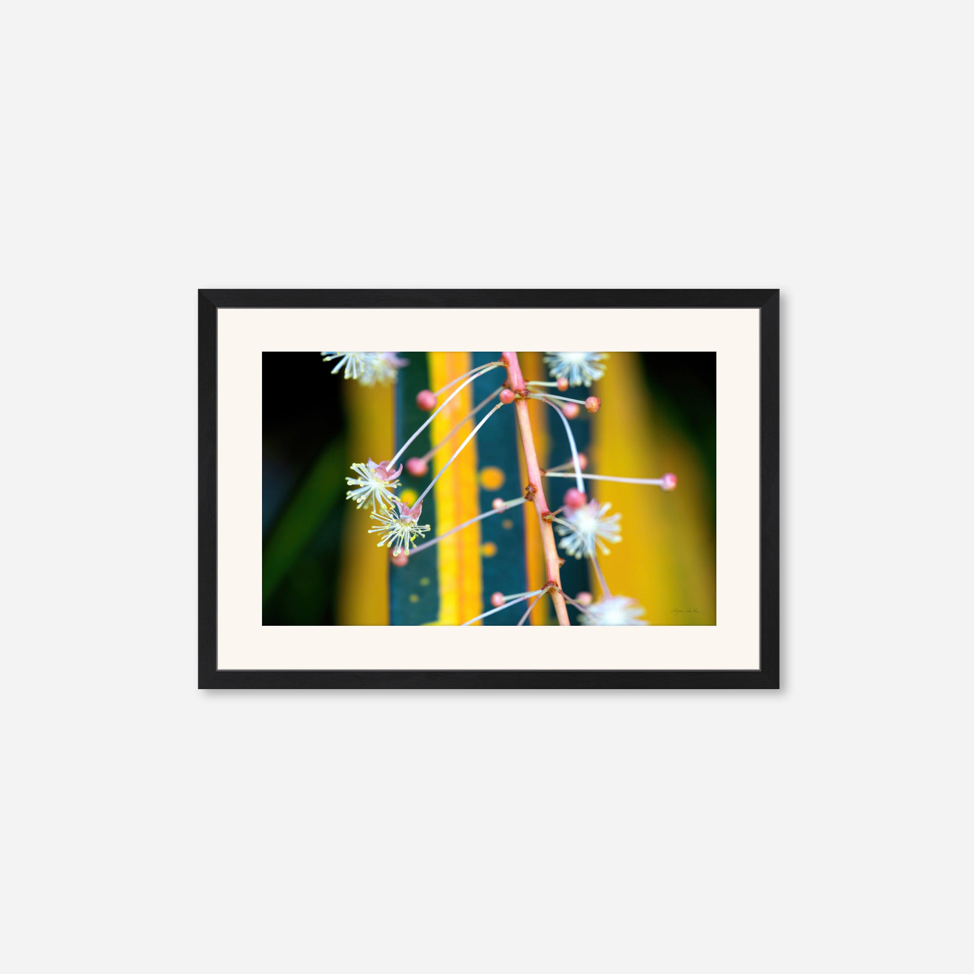 Macro no. 10