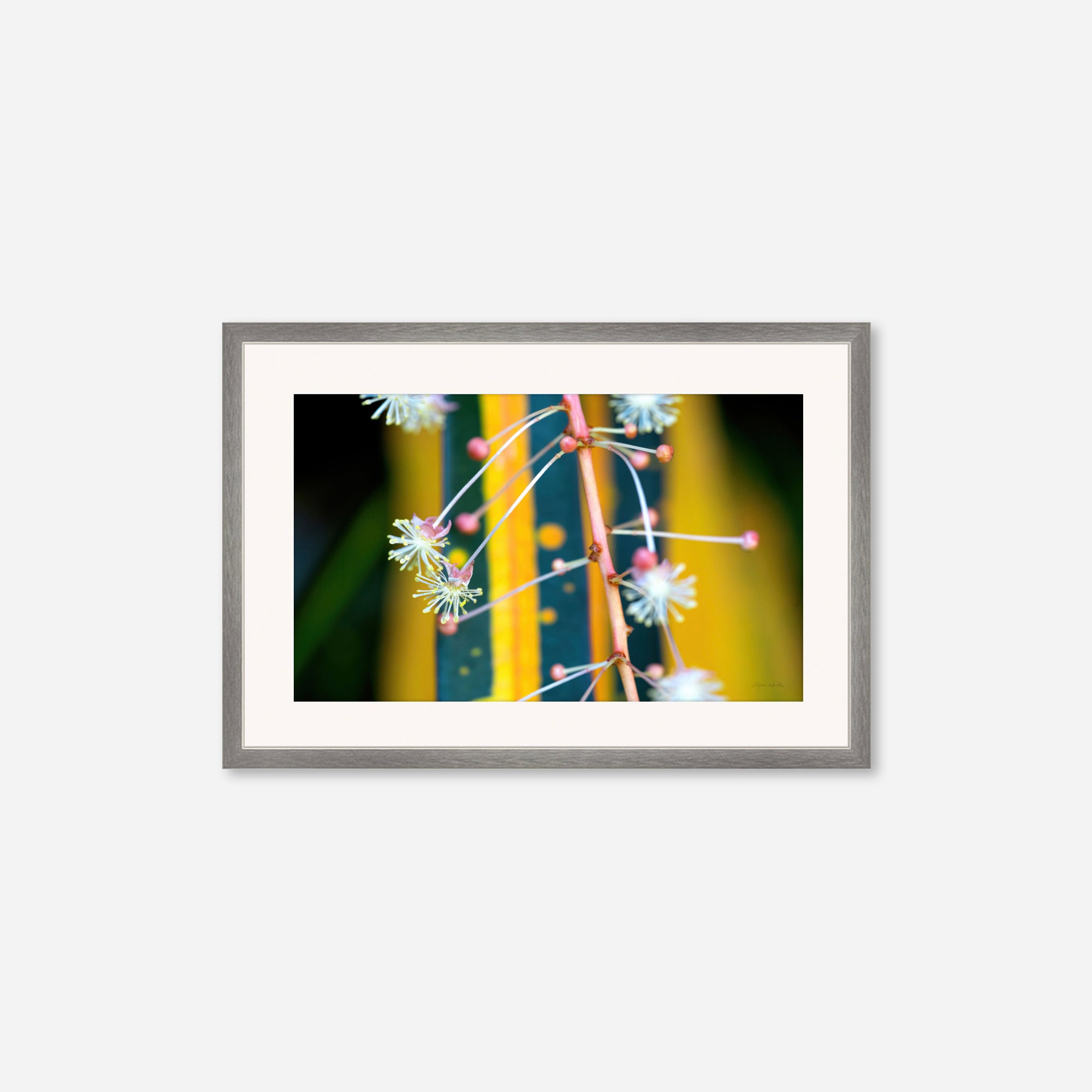 Macro no. 10