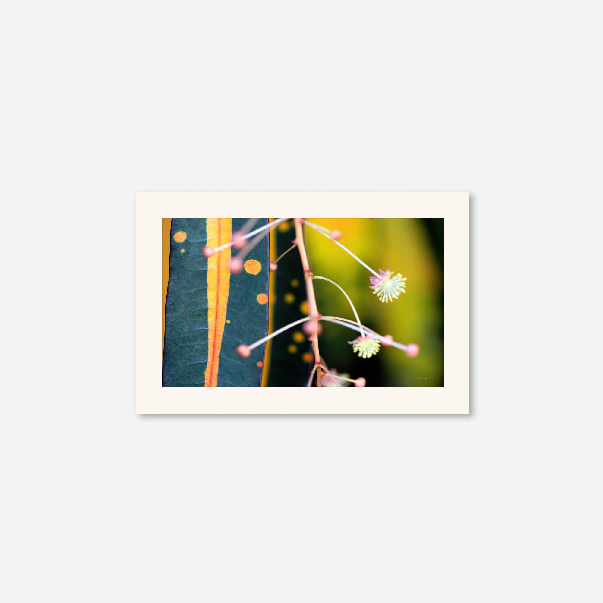 Macro no. 9