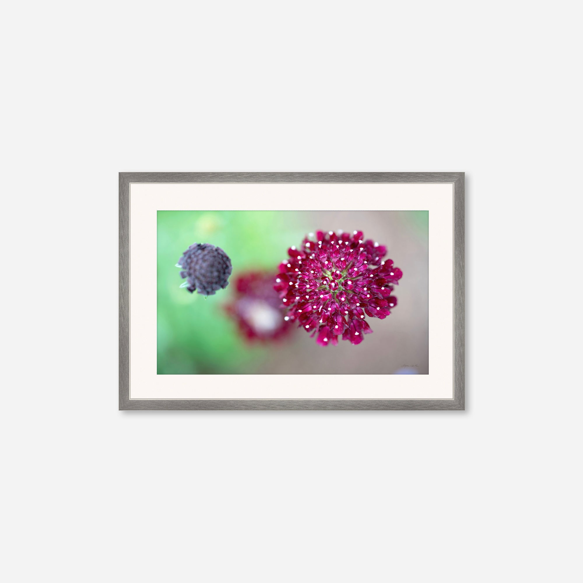 Macro no. 5