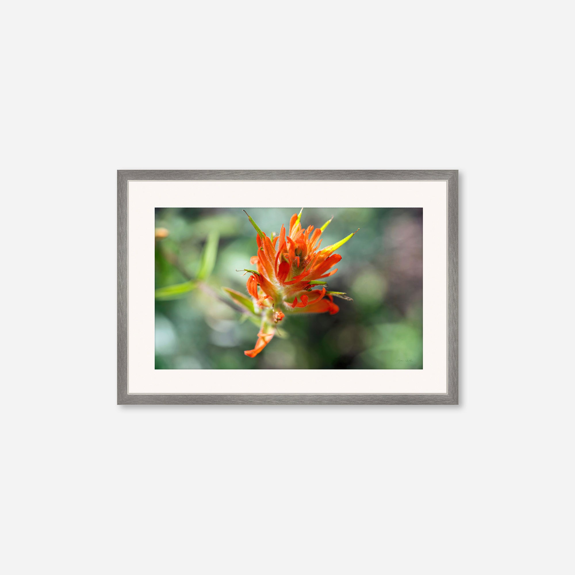Macro no. 4
