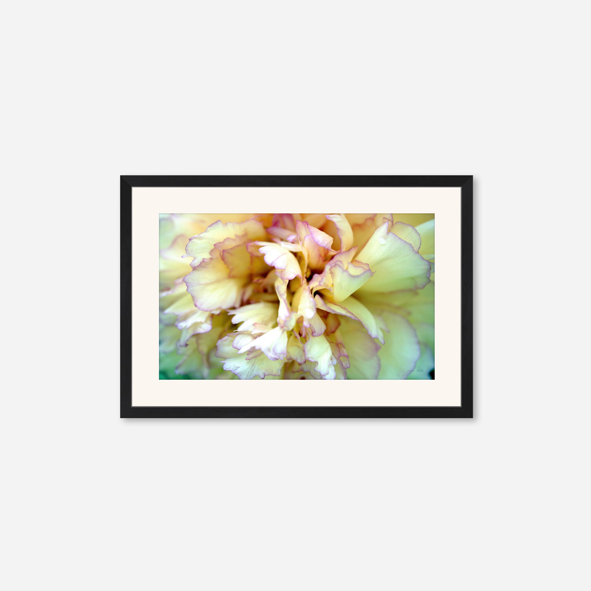 Macro no. 3