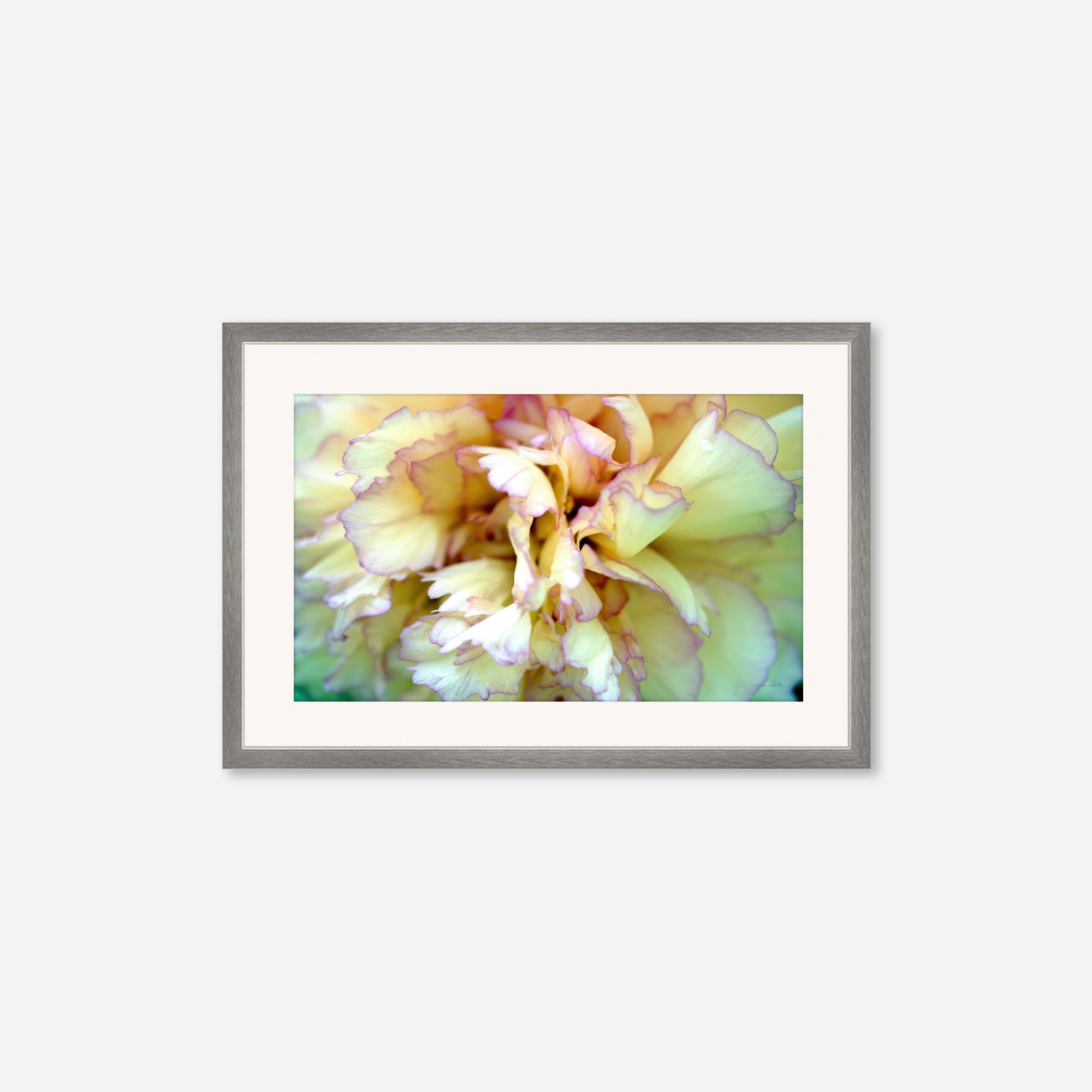 Macro no. 3