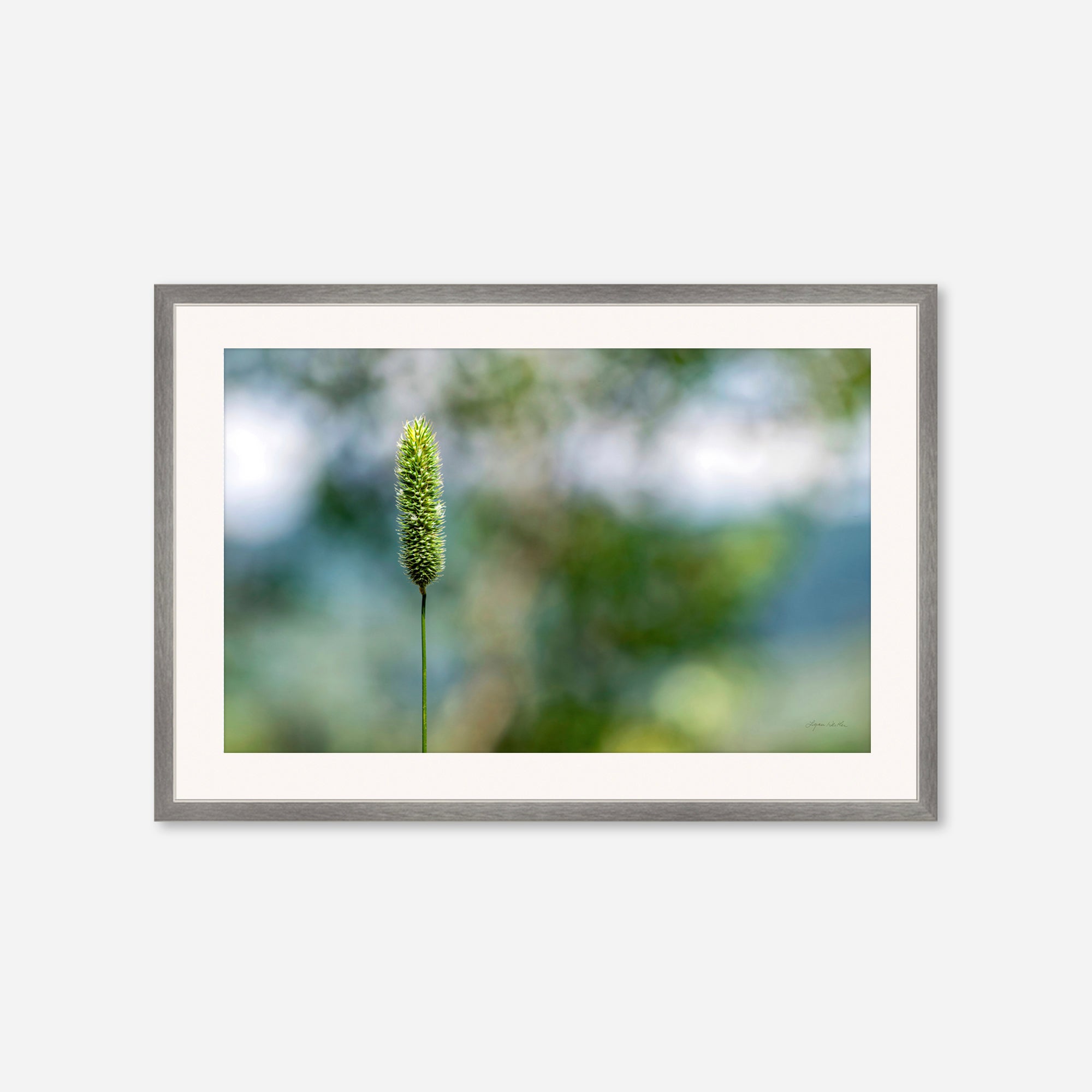 Macro no. 16