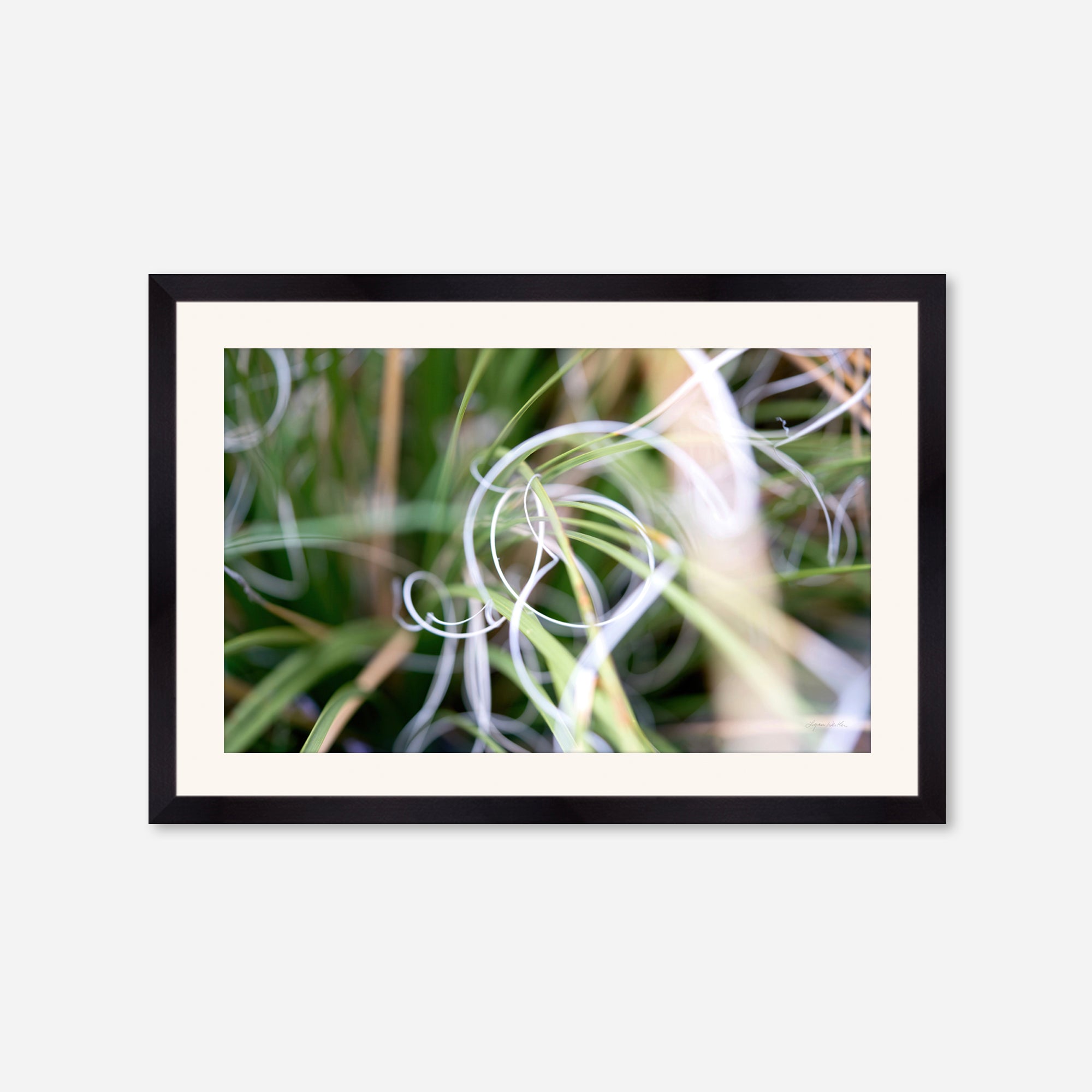 Macro no. 15