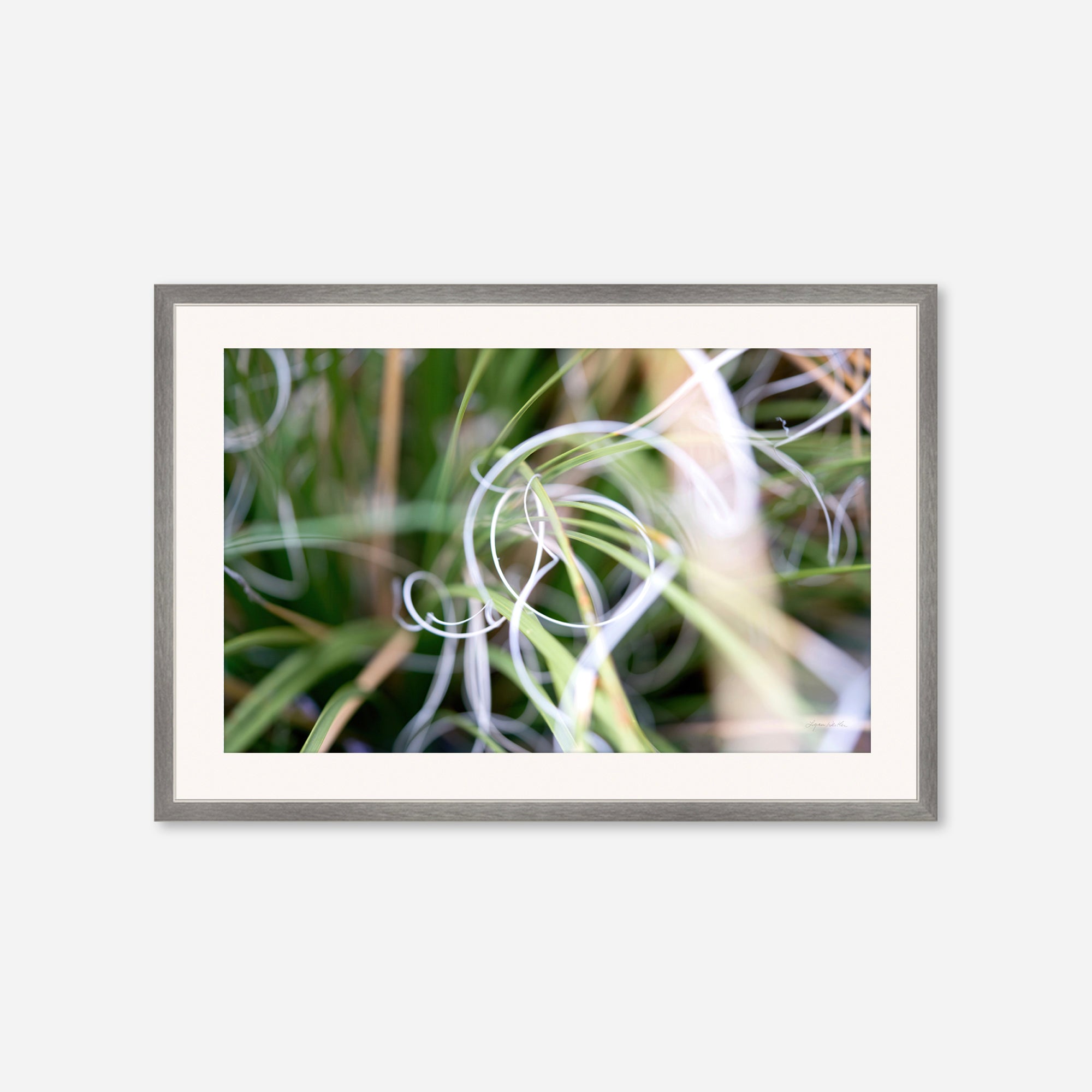 Macro no. 15