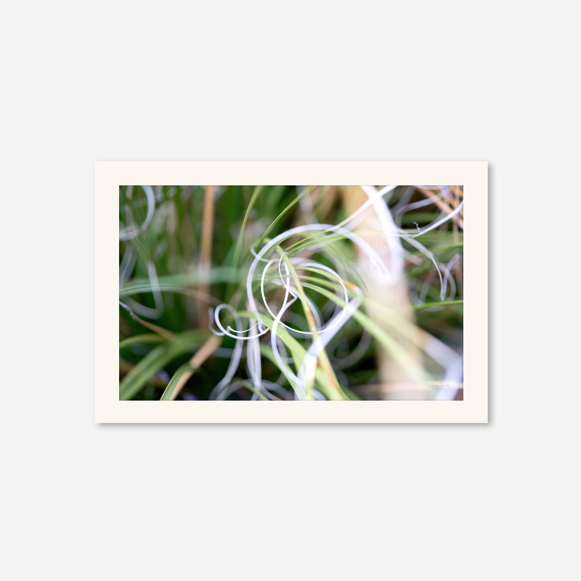 Macro no. 15