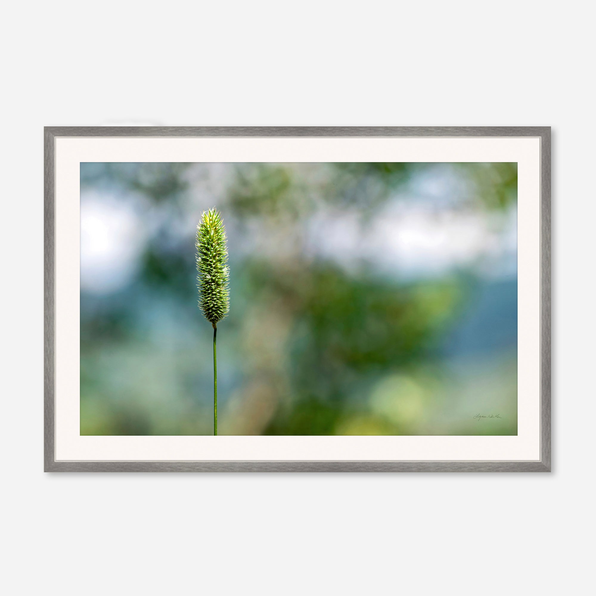 Macro no. 16