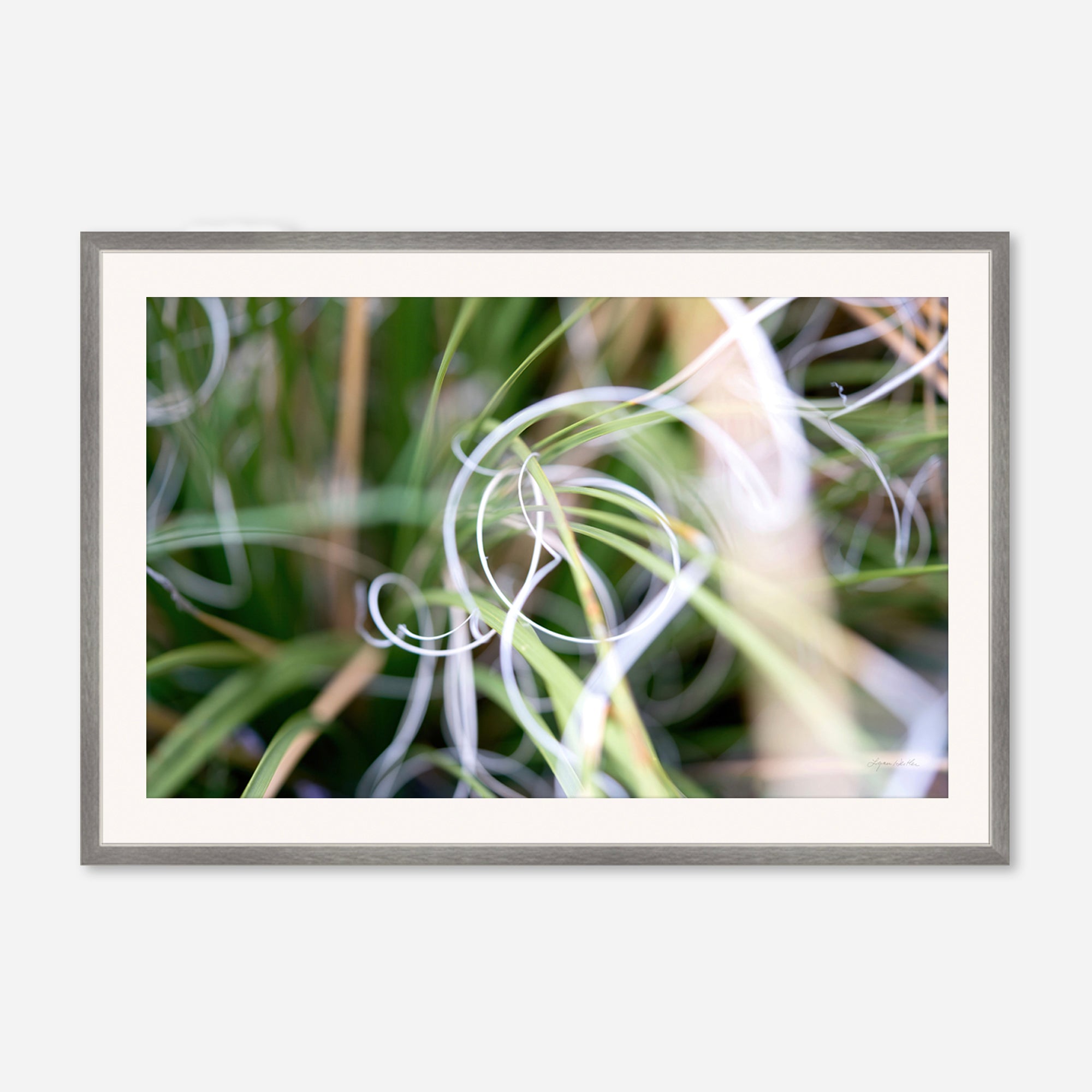 Macro no. 15