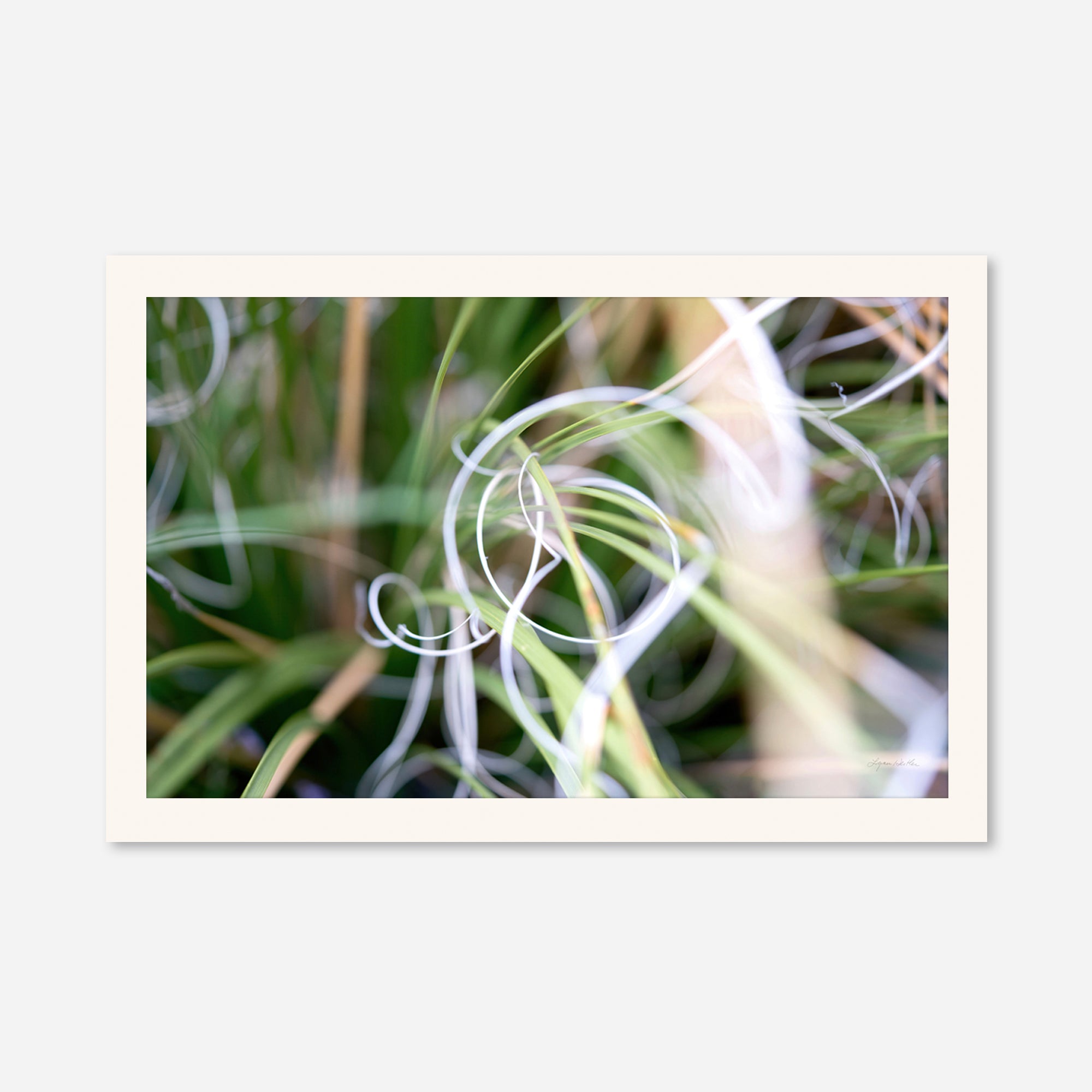 Macro no. 15
