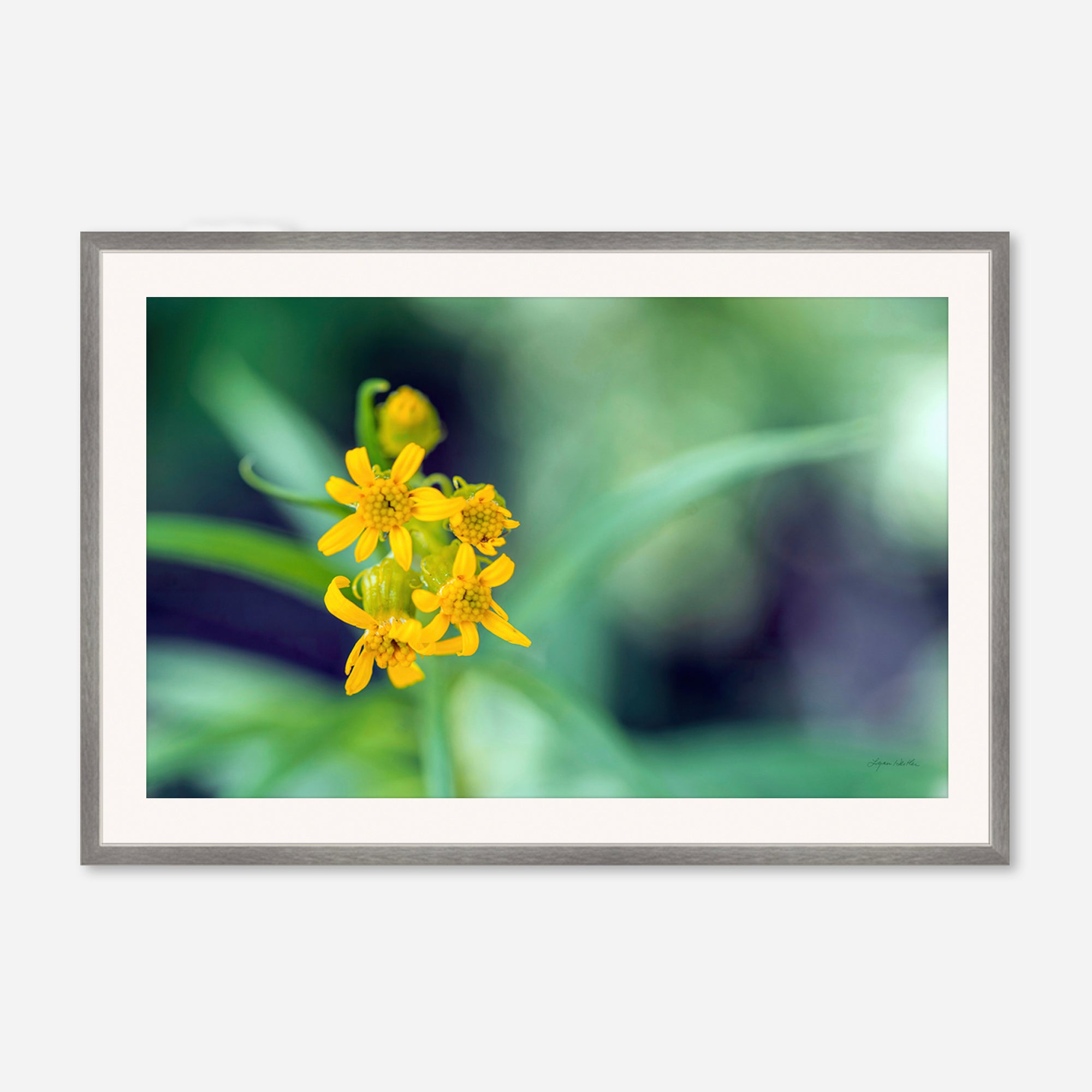 Macro no. 13