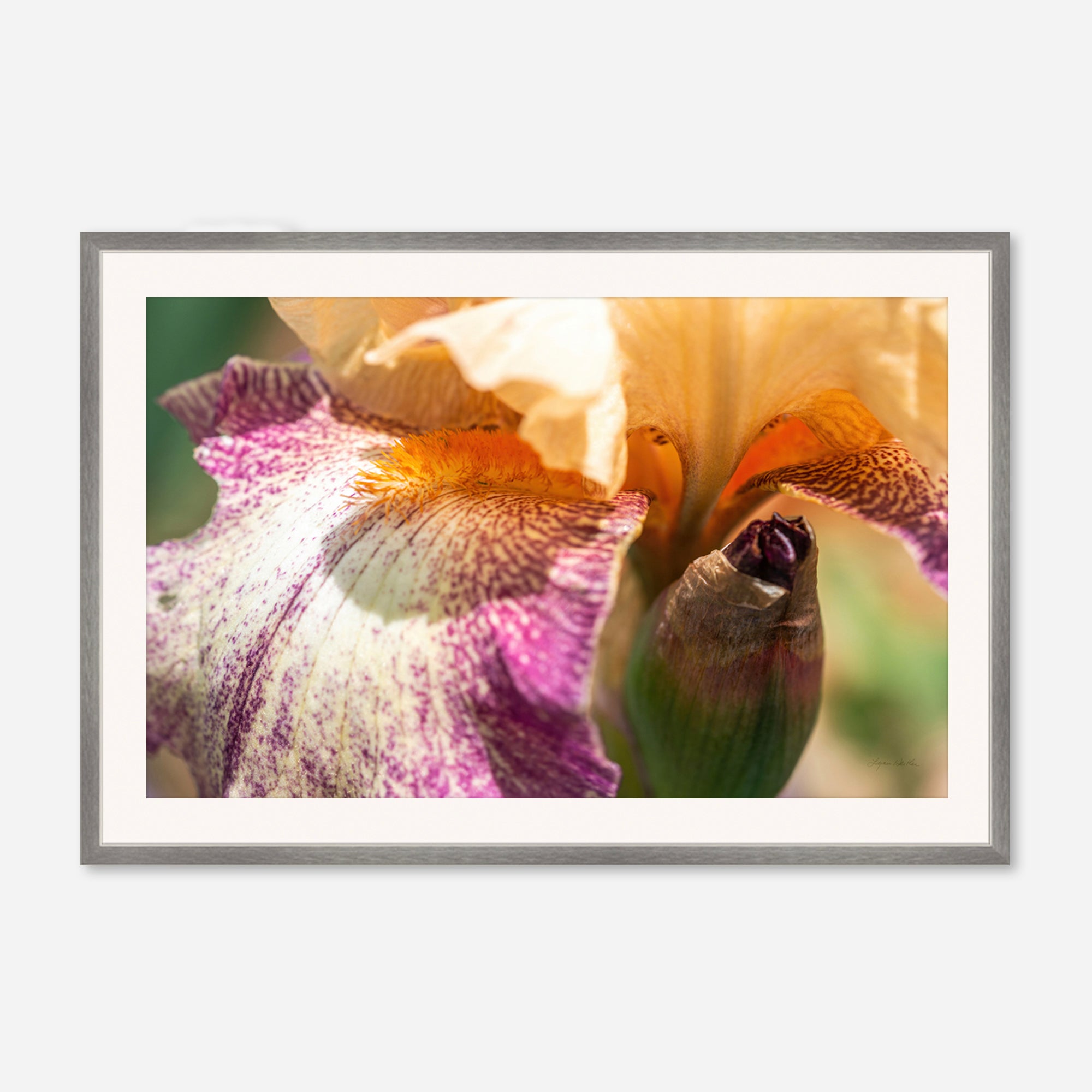 Macro no. 8