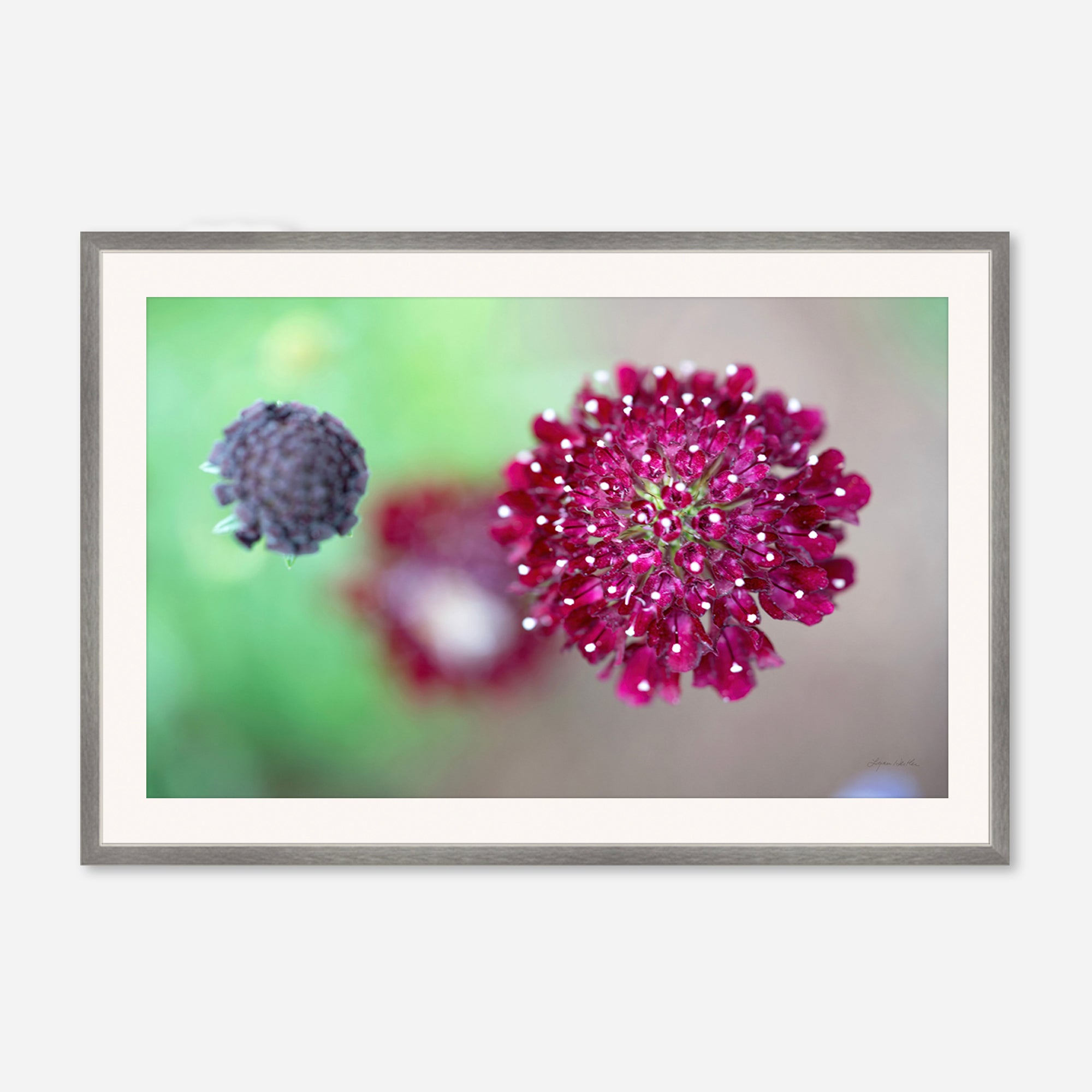 Macro no. 5