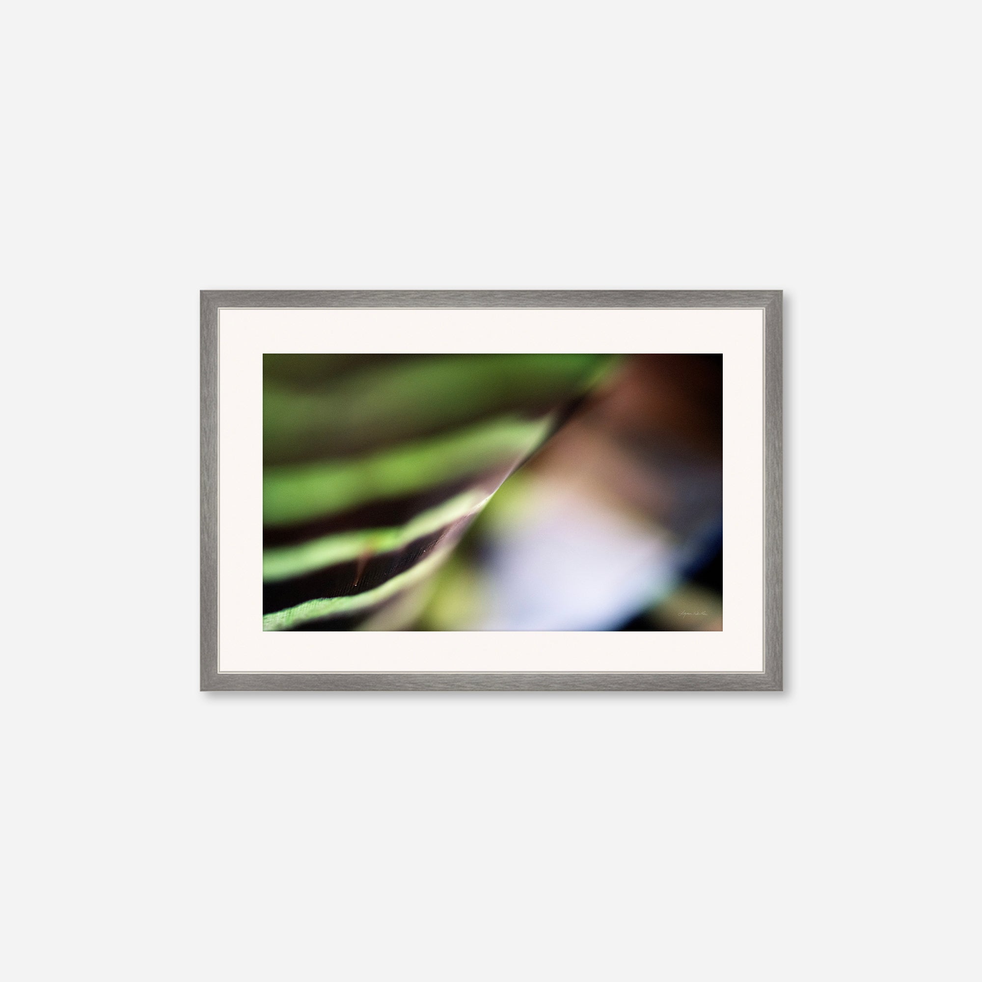 Macro no. 22